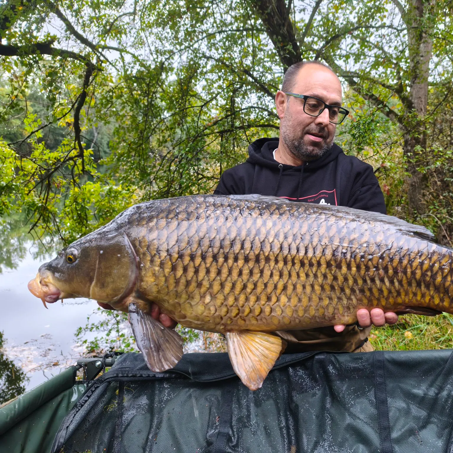 Common carp caught on Fishbrain