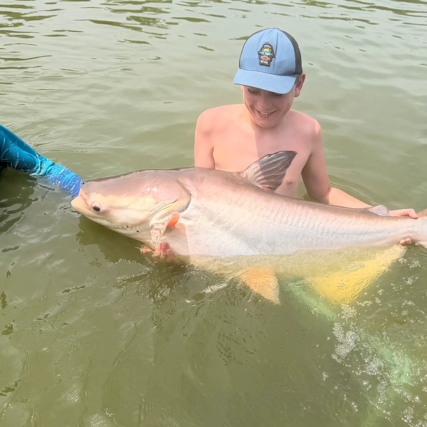 The most recent Mekong giant catfish catches on Fishbrain