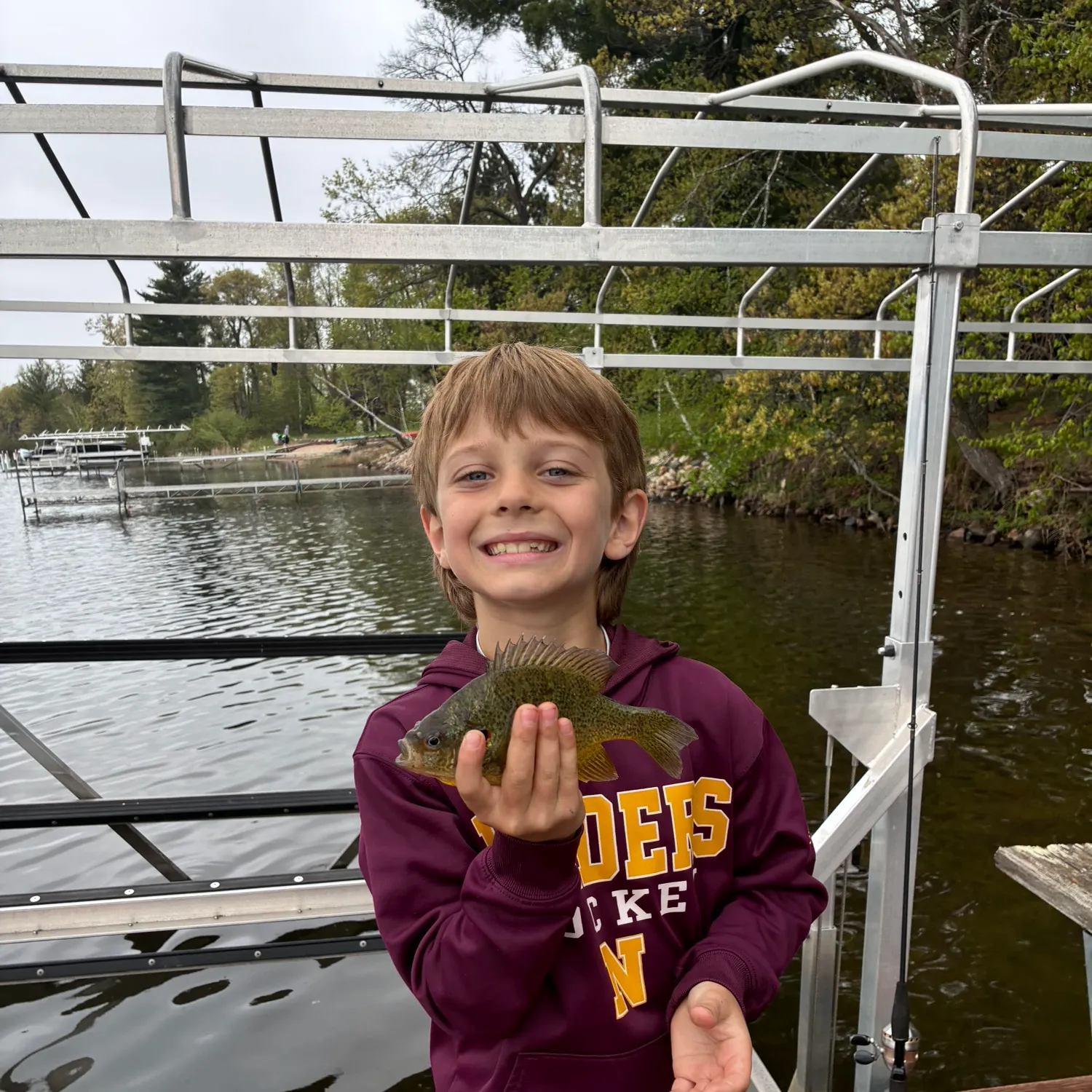 The most recent Northern sunfish catches on Fishbrain