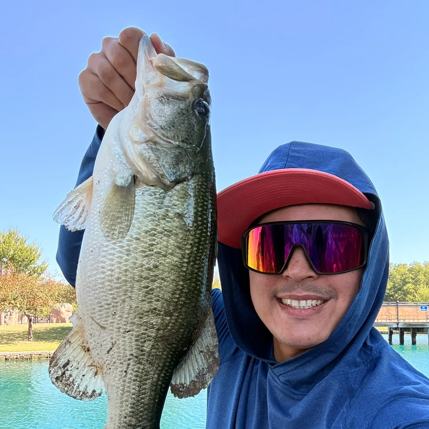 Largemouth bass caught on Fishbrain