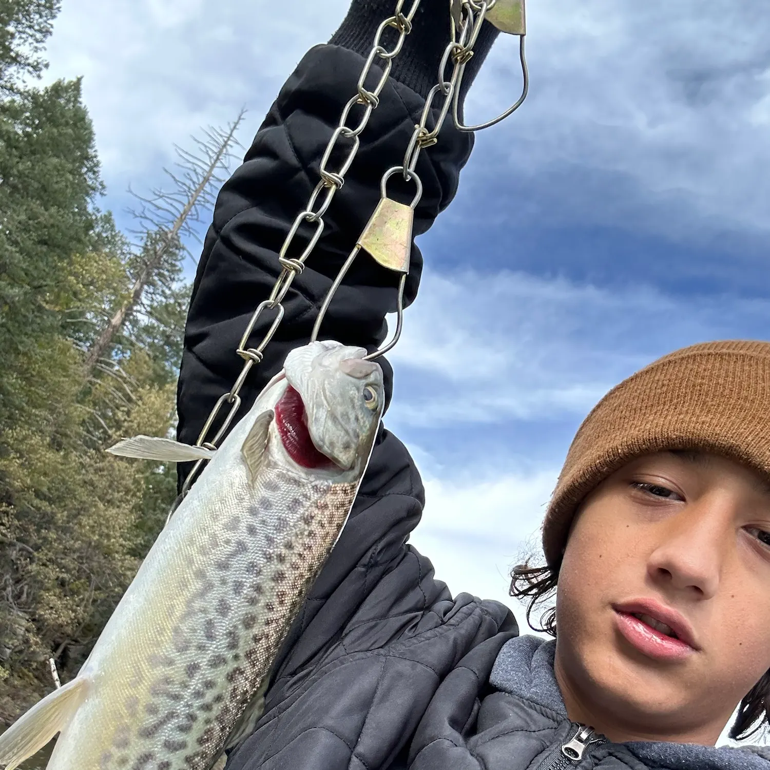 Tiger trout caught on Fishbrain