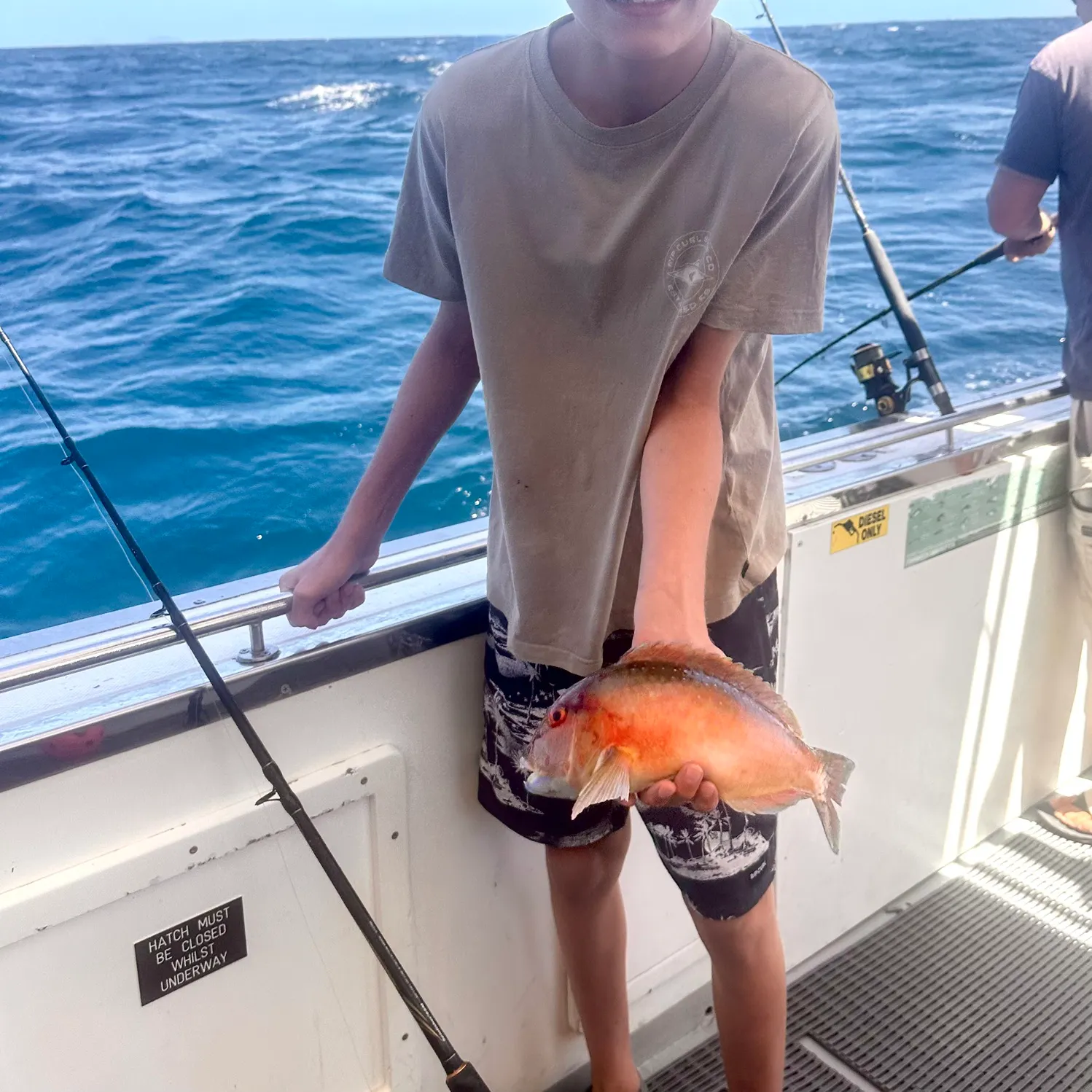 The most recent Venus tuskfish catches on Fishbrain