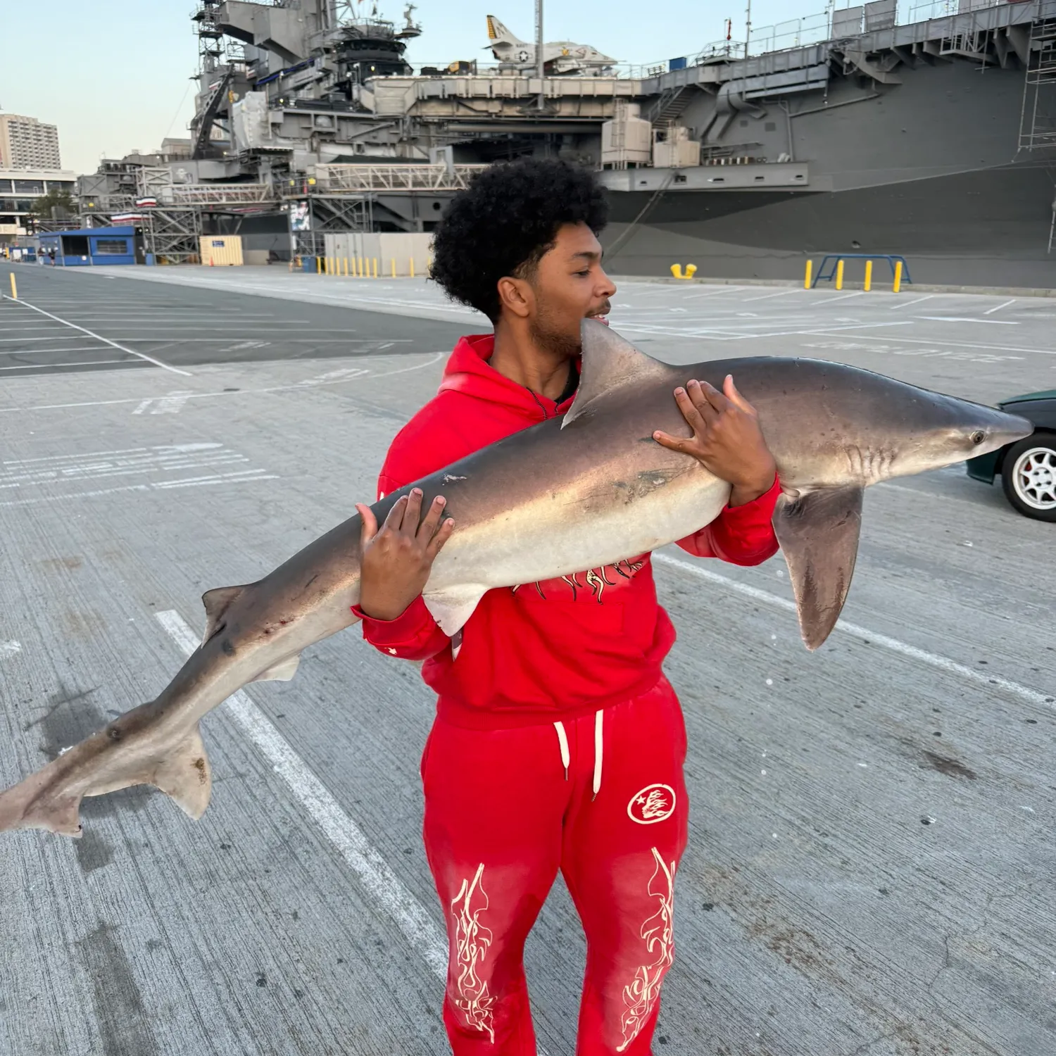 The most recent Tope shark catches on Fishbrain