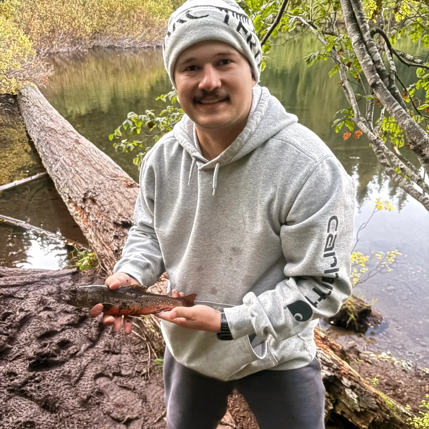 Brook trout caught on Fishbrain