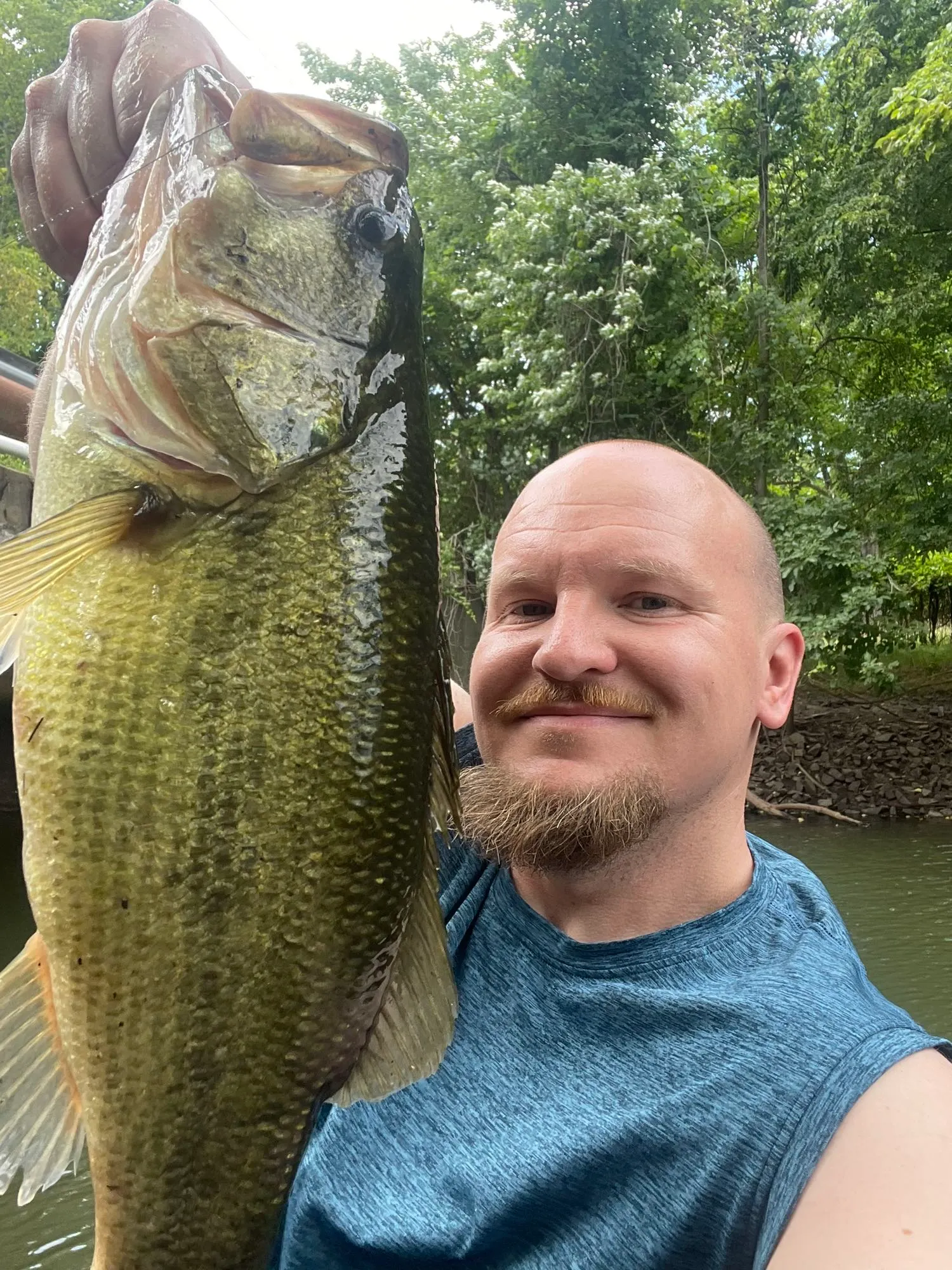 Post image from nillynils