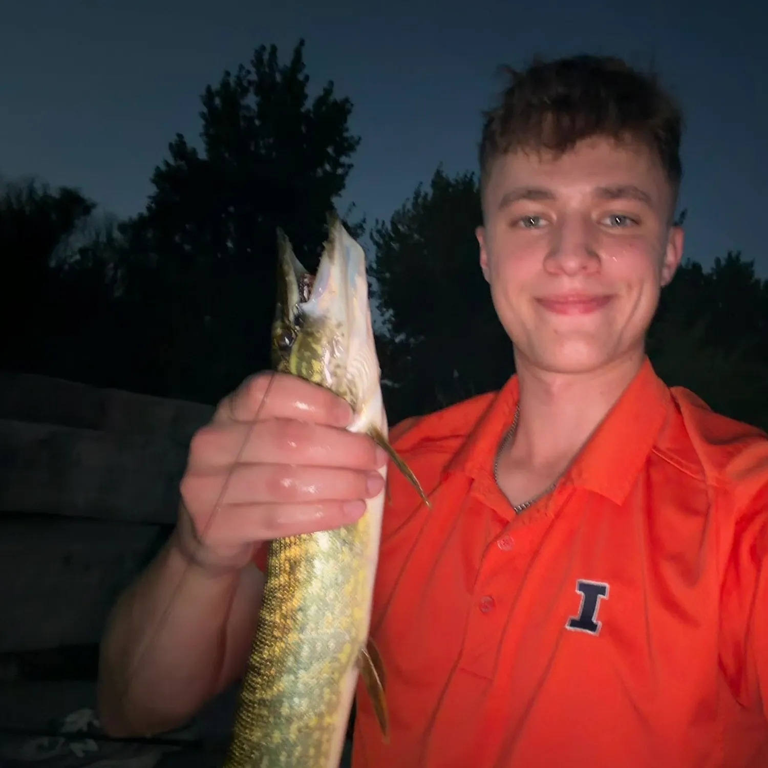 Northern pike caught on Fishbrain