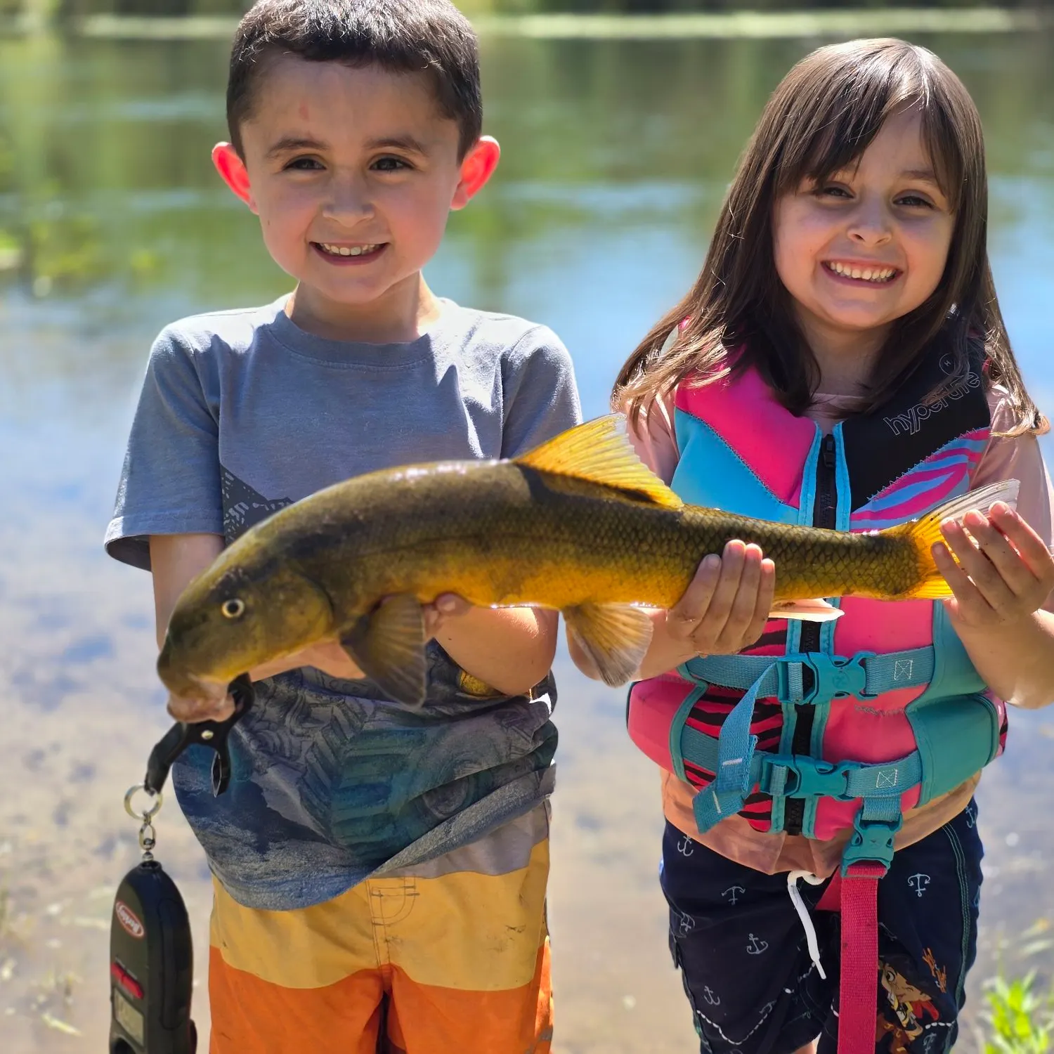 The most recent Sacramento sucker catches on Fishbrain