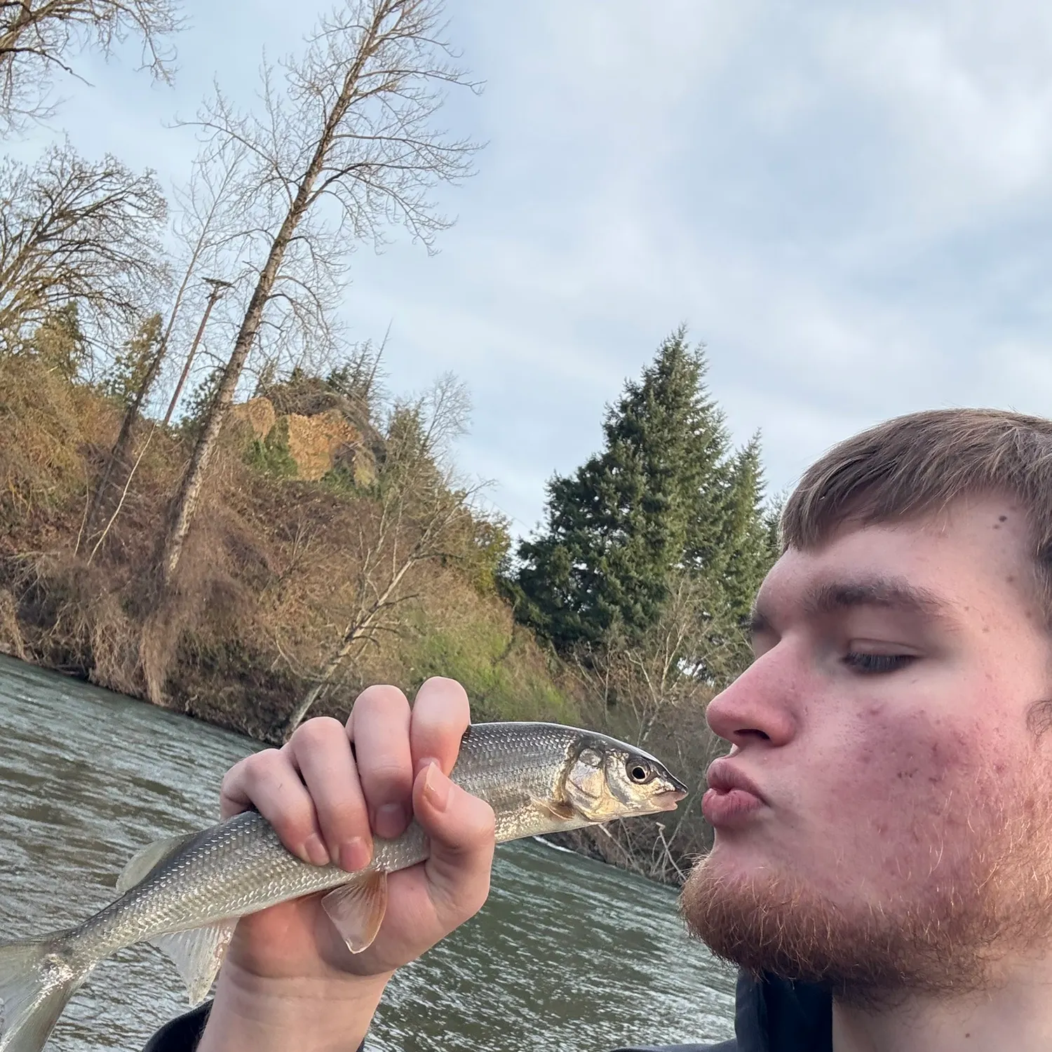 The most recent Mountain whitefish catches on Fishbrain