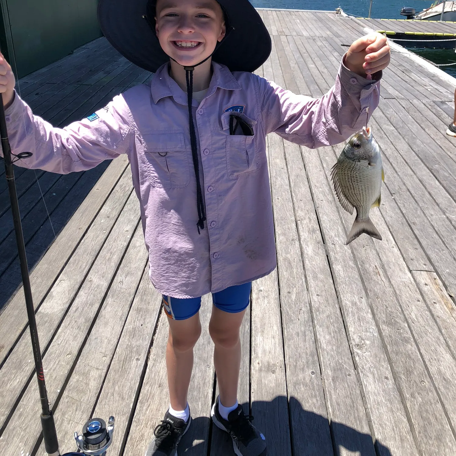 The most recent Surge wrasse catches on Fishbrain