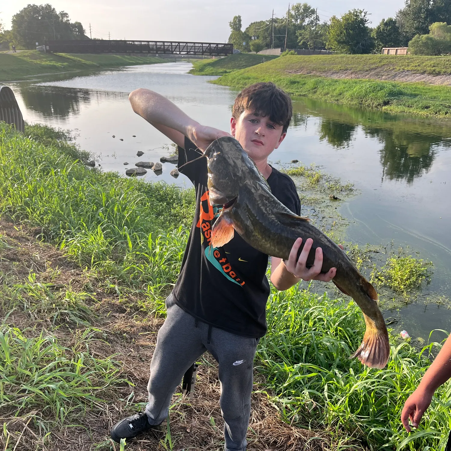 Flathead catfish caught on Fishbrain