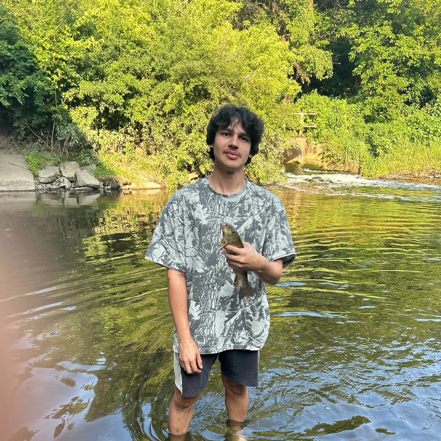 The most recent White sucker catches on Fishbrain