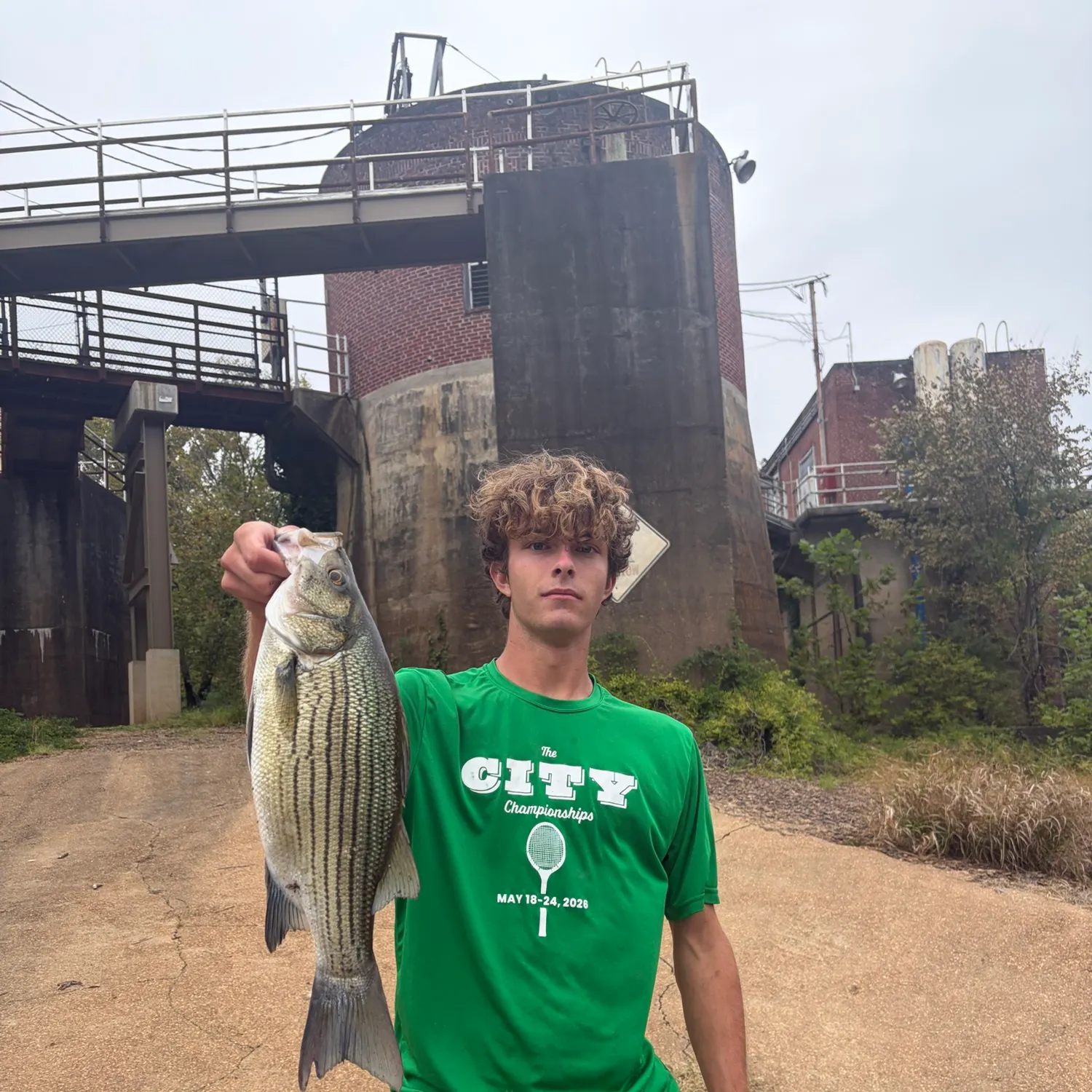 Wiper caught on Fishbrain