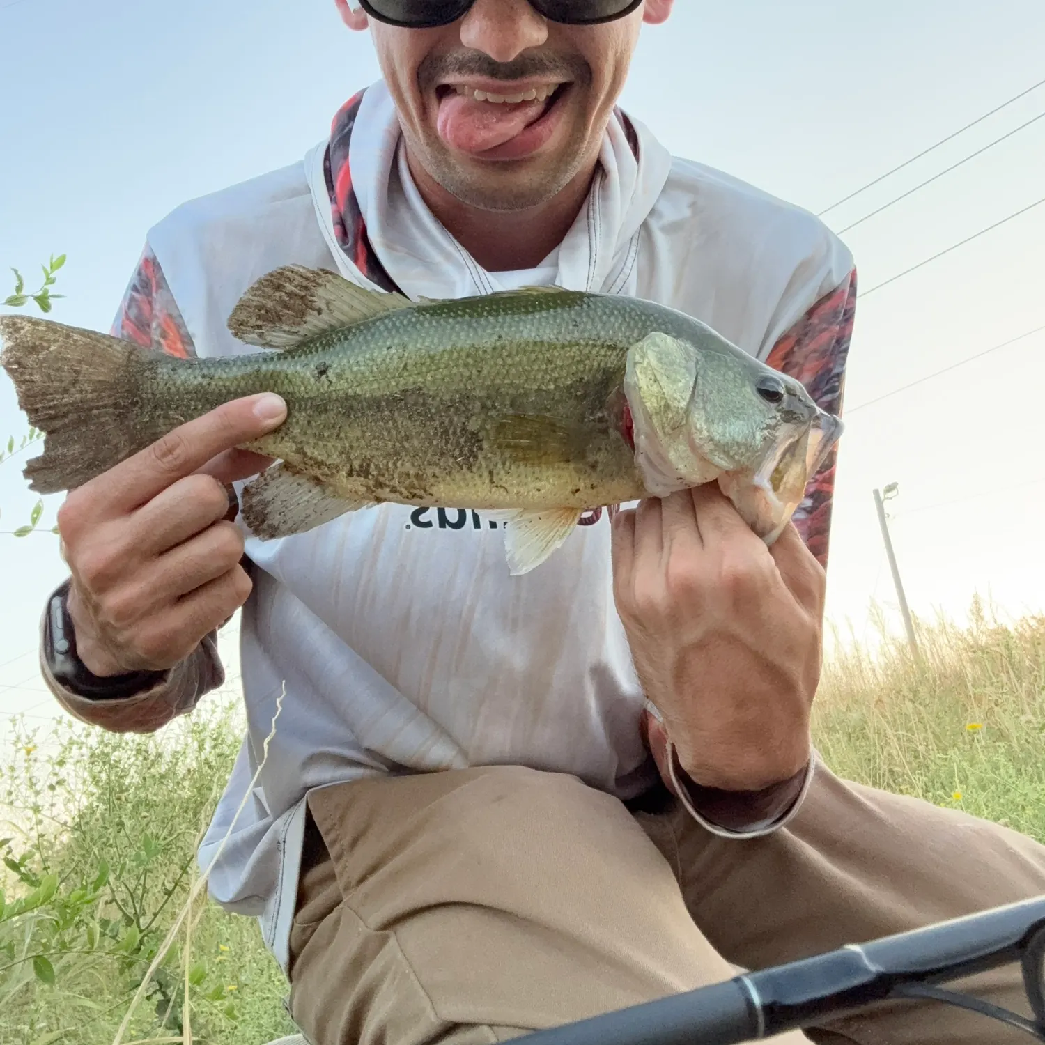 Largemouth bass caught on Fishbrain