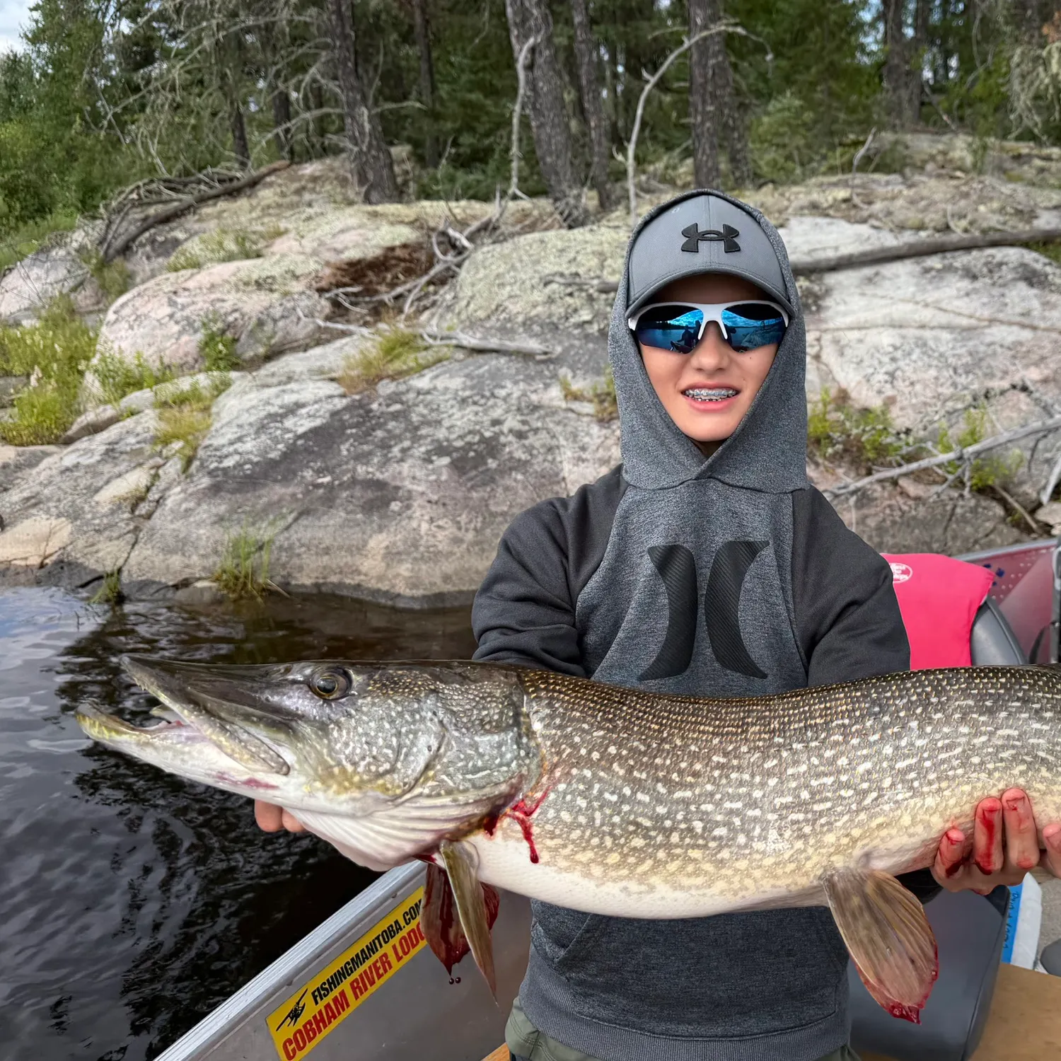 Northern pike caught on Fishbrain