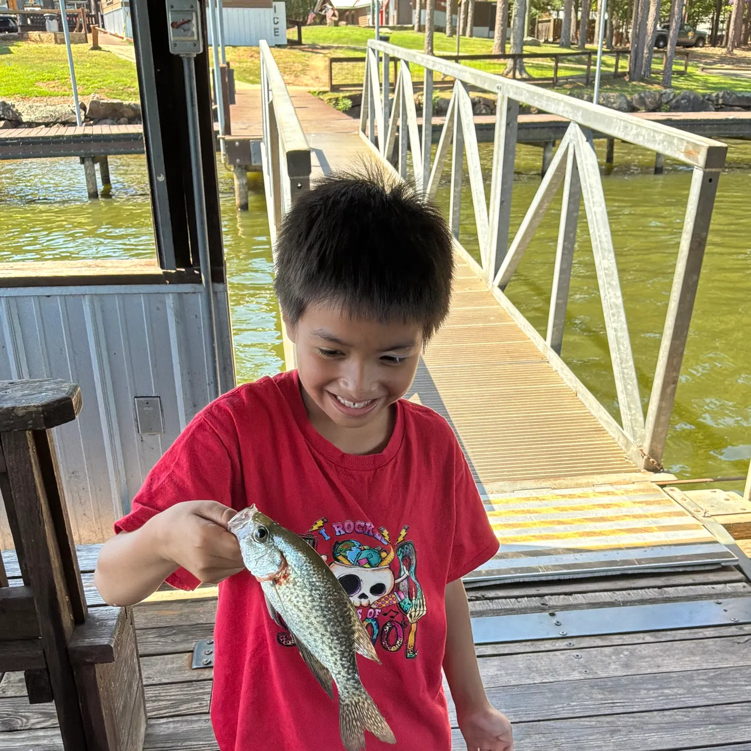 Common snook caught on Fishbrain