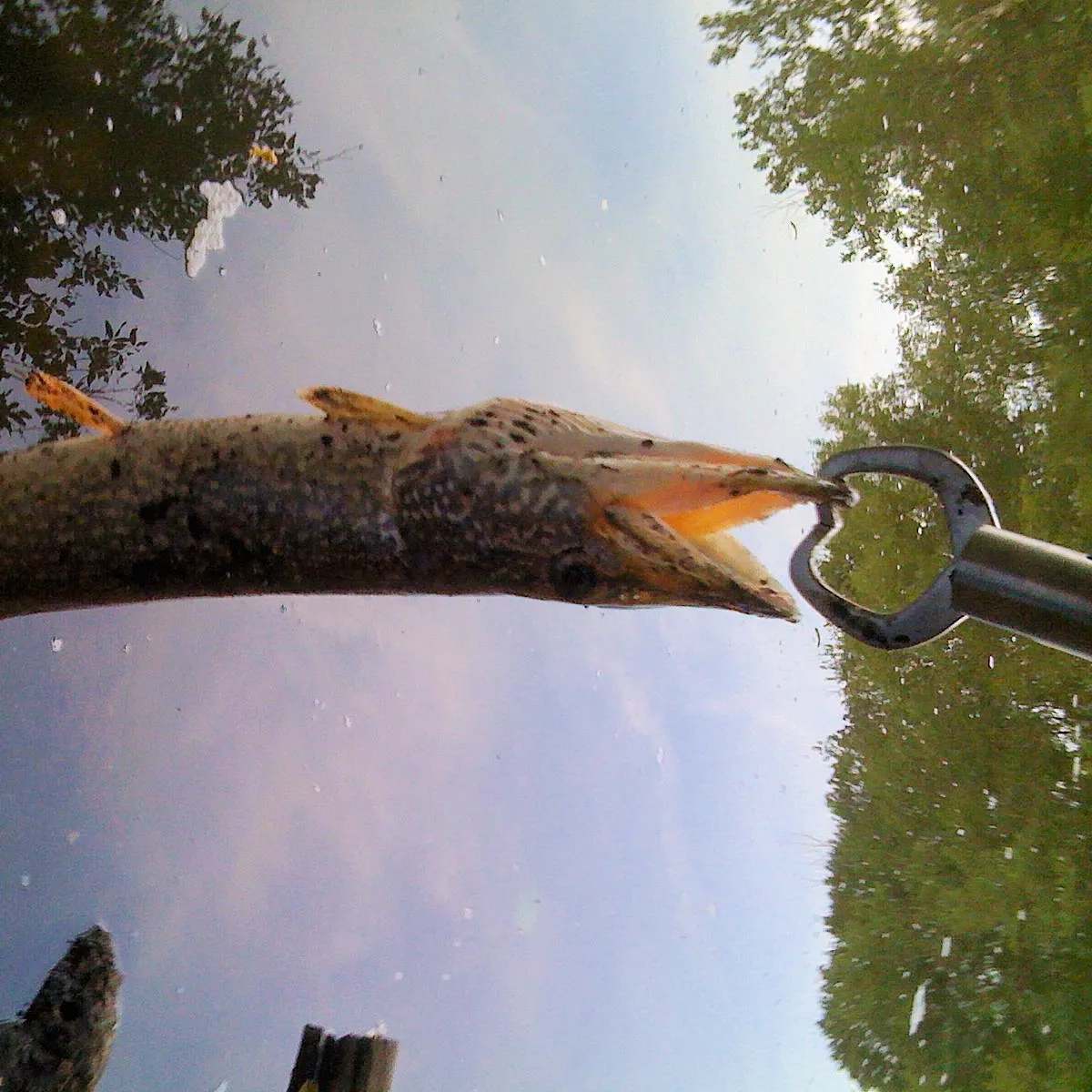 catch