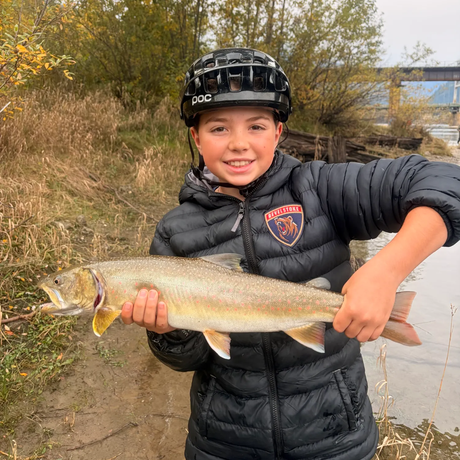 The most recent Bull trout catches on Fishbrain