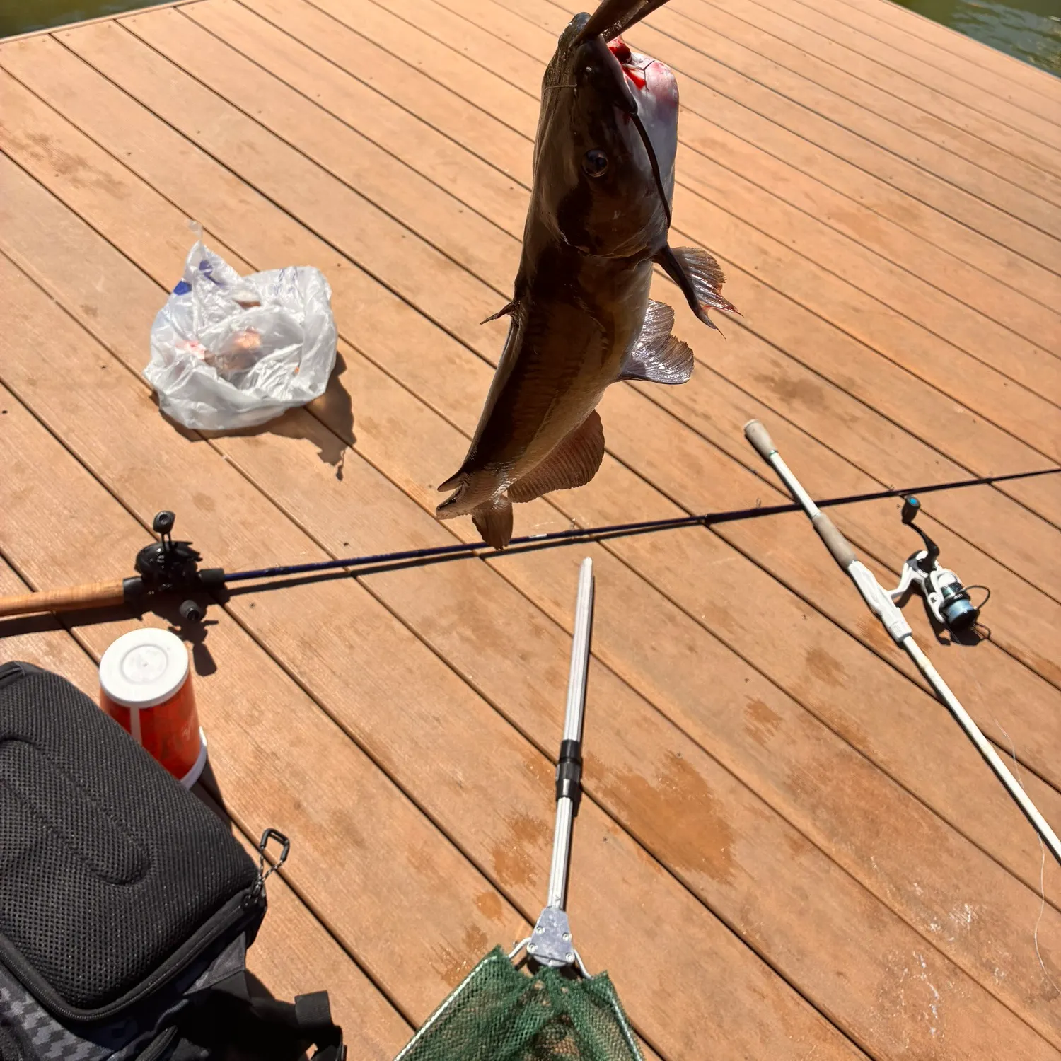 catch