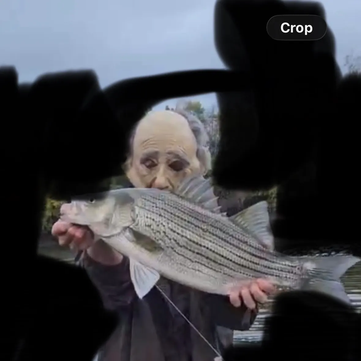 Wiper caught on Fishbrain