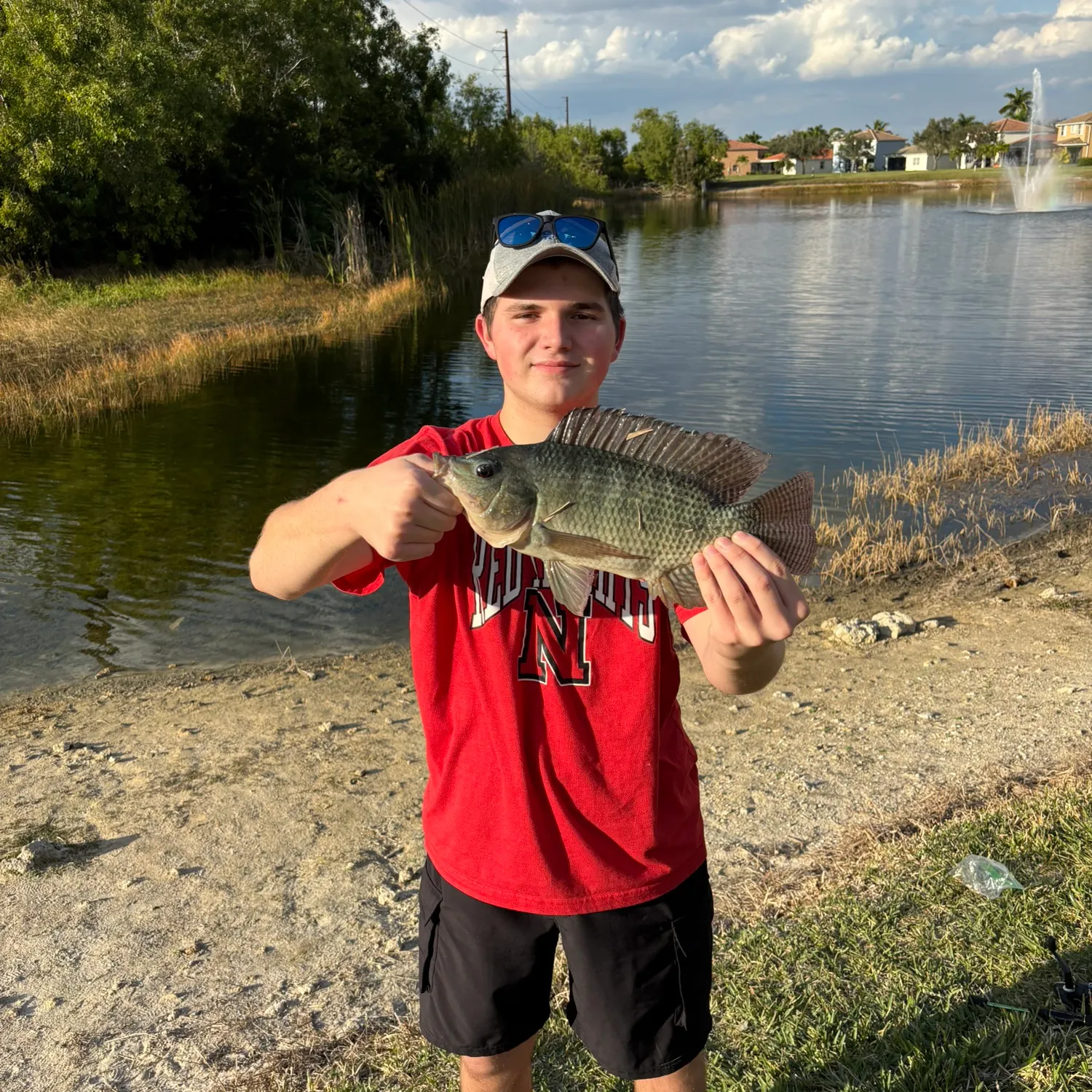 The most recent Blue tilapia catches on Fishbrain
