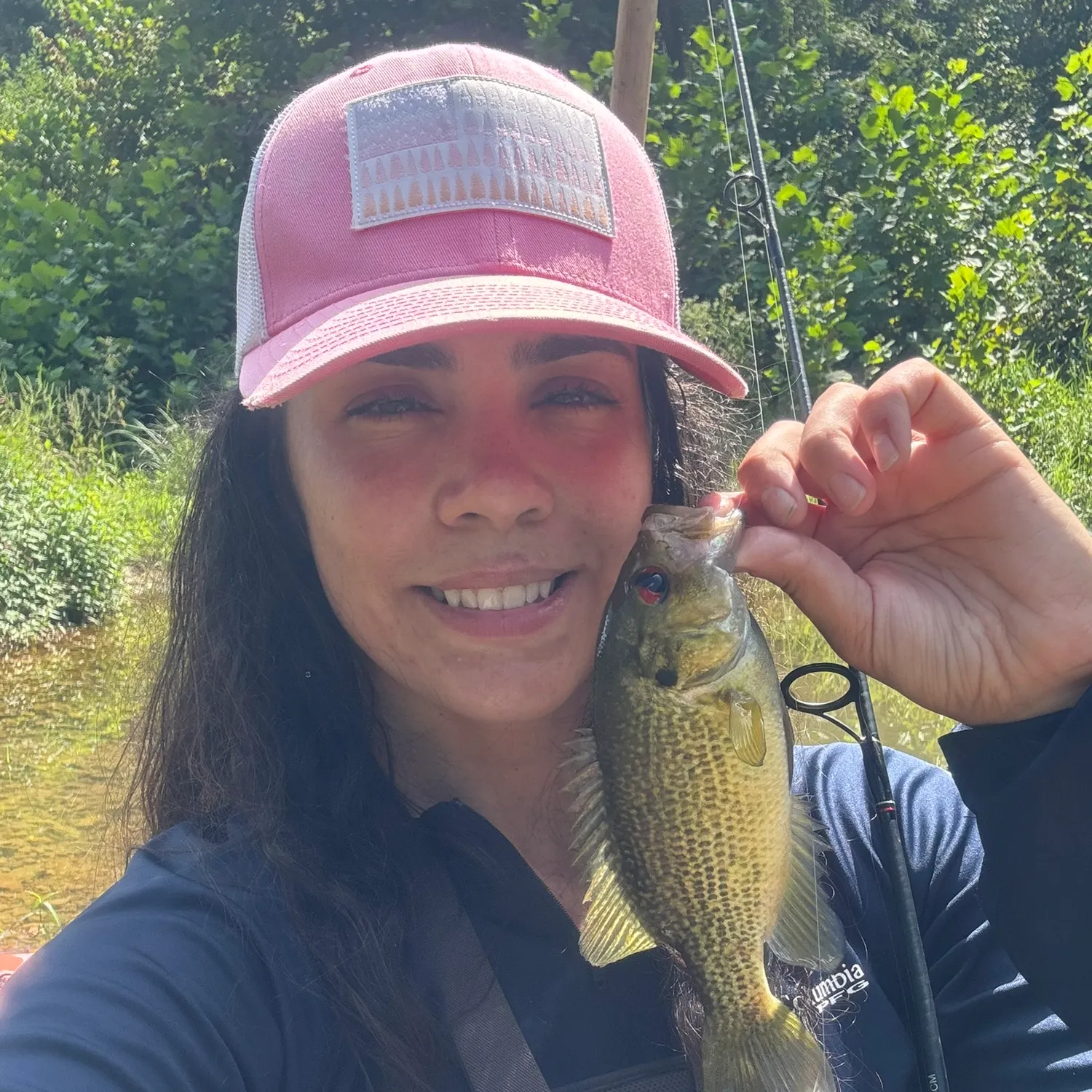 Rock bass caught on Fishbrain