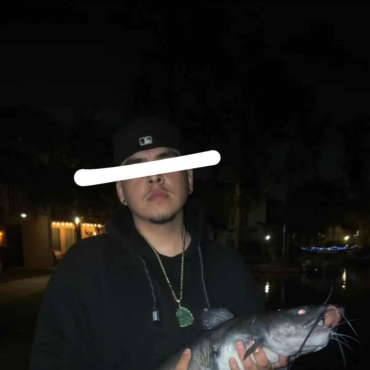 White bullhead caught on Fishbrain