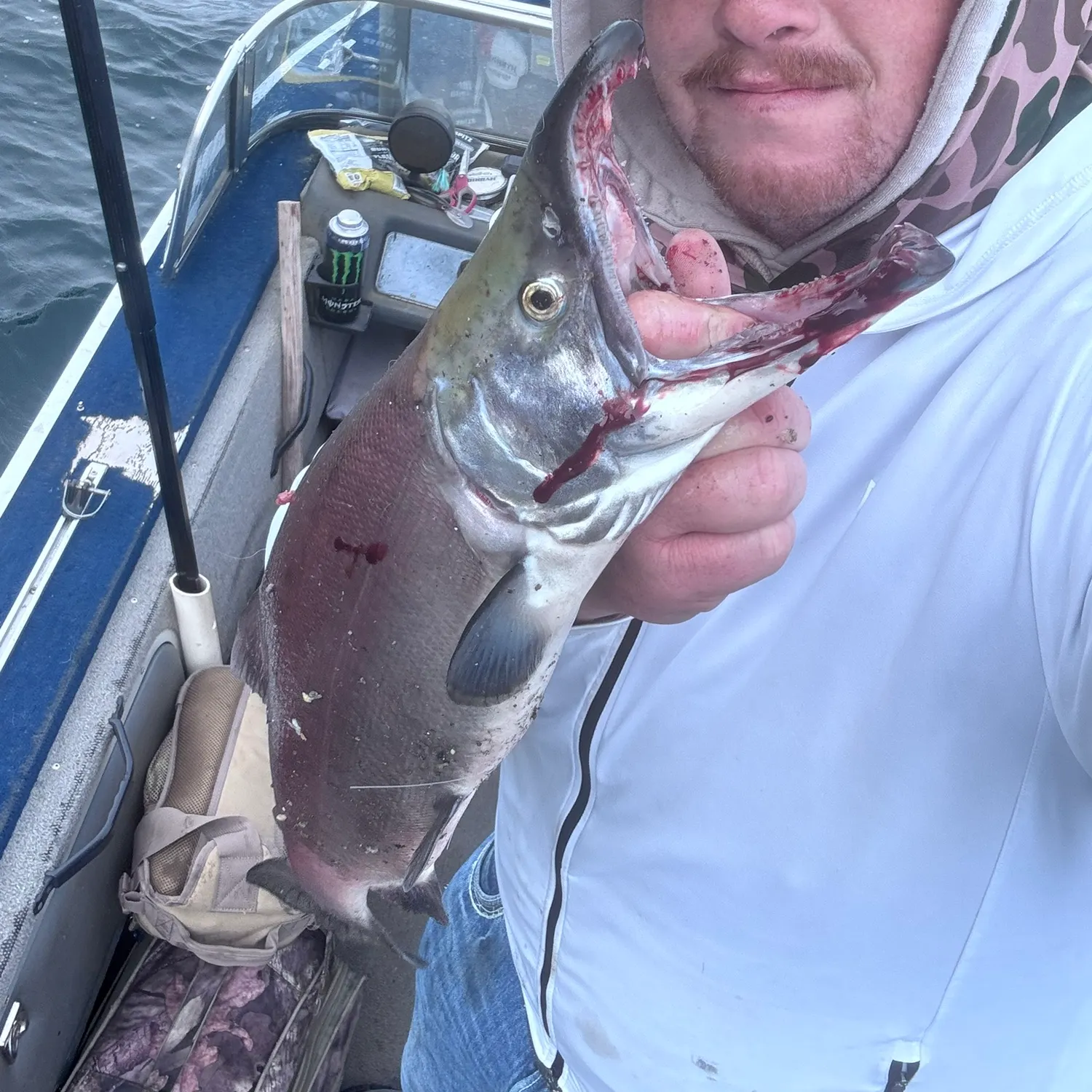 Kokanee salmon caught on Fishbrain