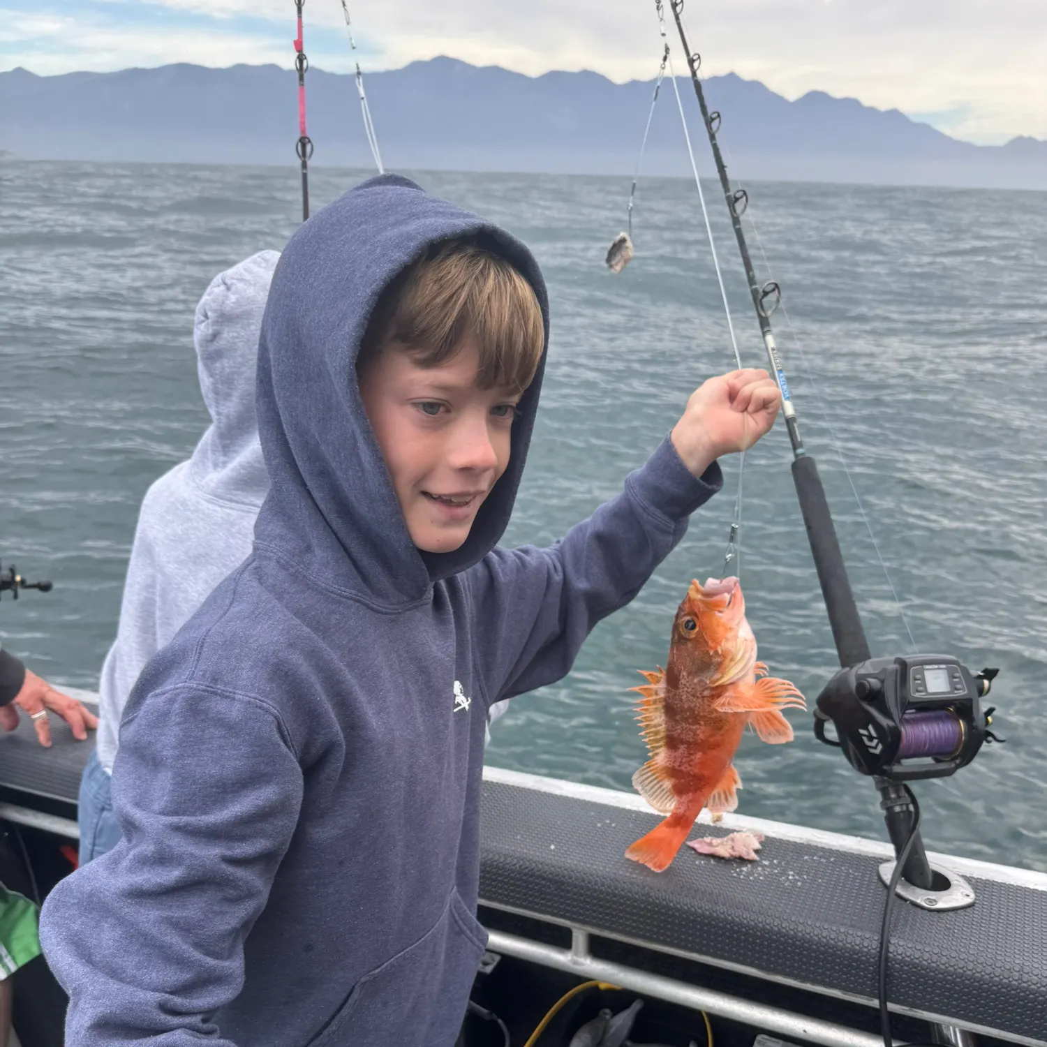 The most recent Atlantic ocean perch catches on Fishbrain