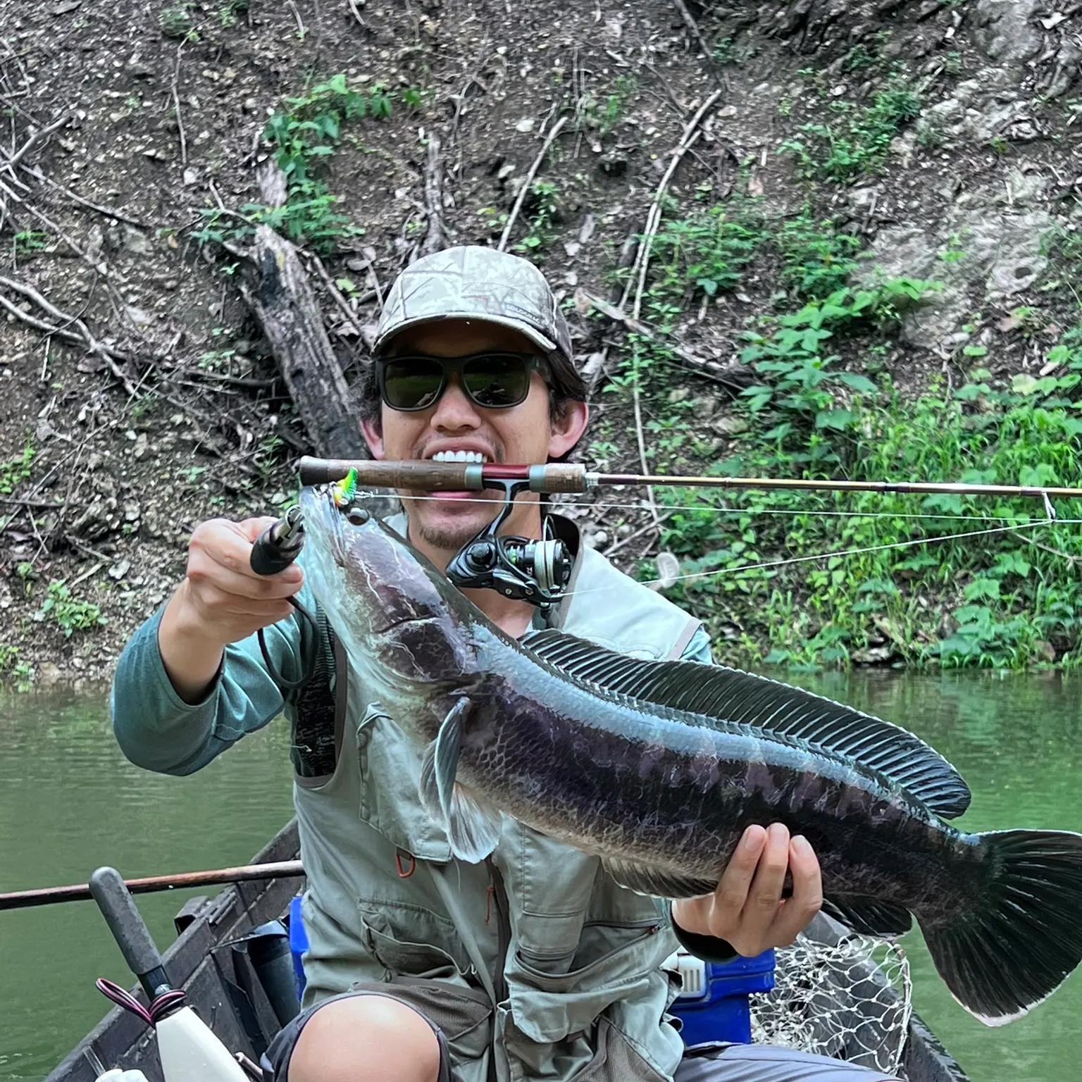 The most recent Indonesian snakehead catches on Fishbrain