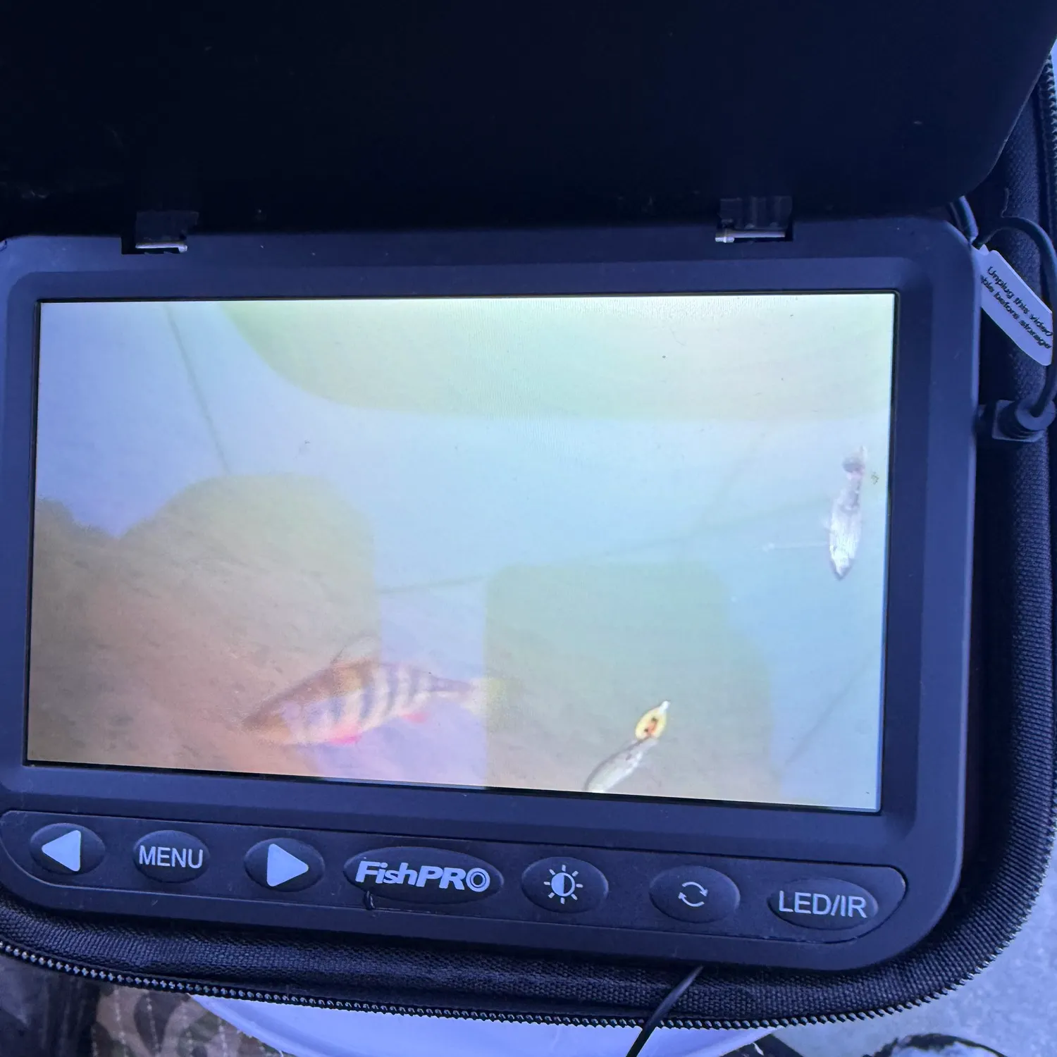 The most recent Yellow perch catches on Fishbrain