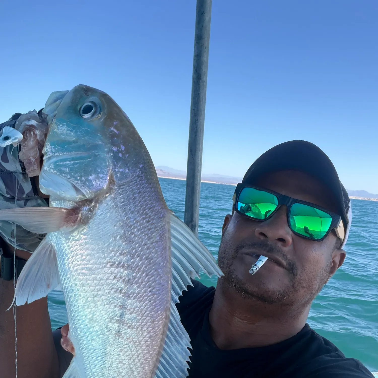 Fish caught on Fishbrain