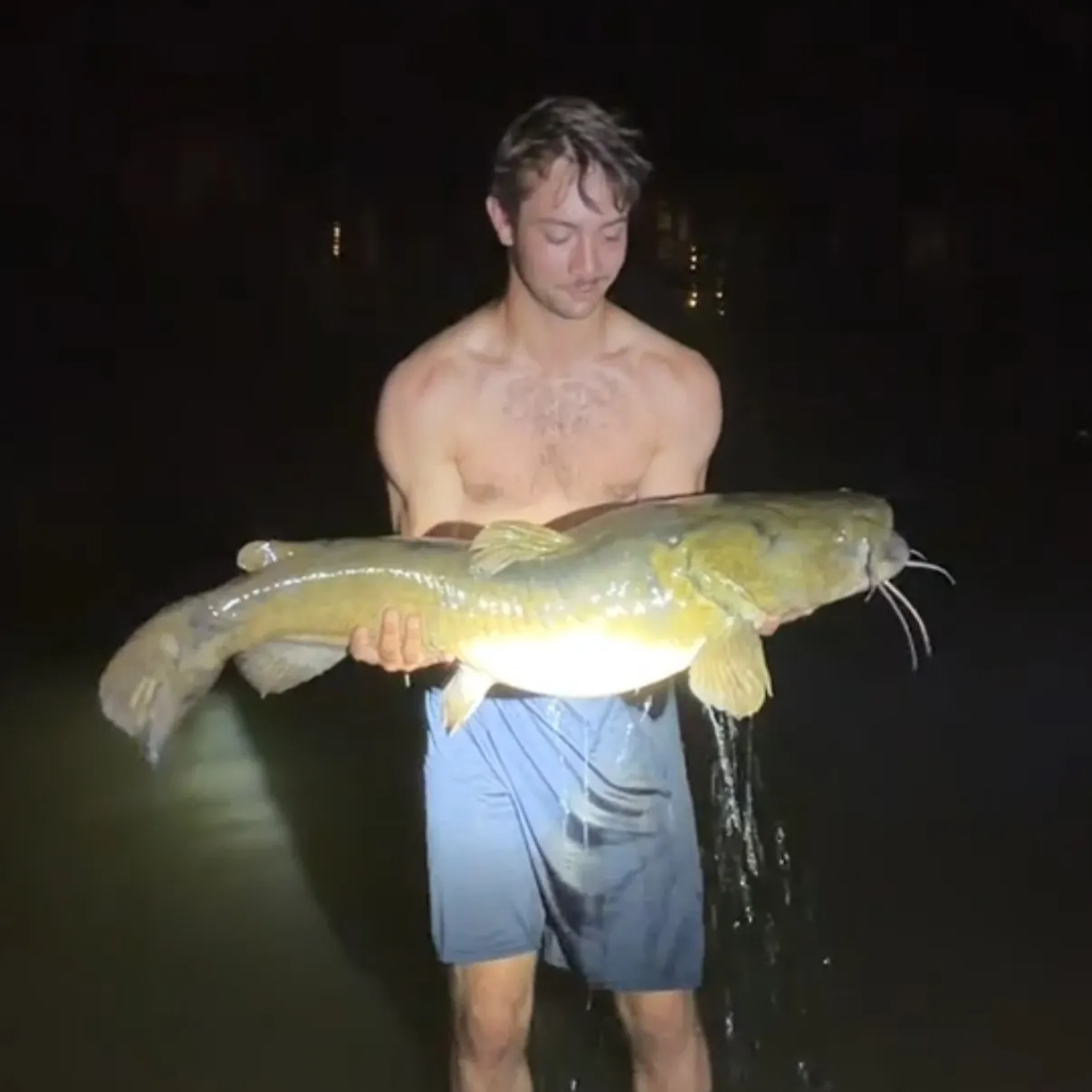 The most recent Flathead catfish catches on Fishbrain