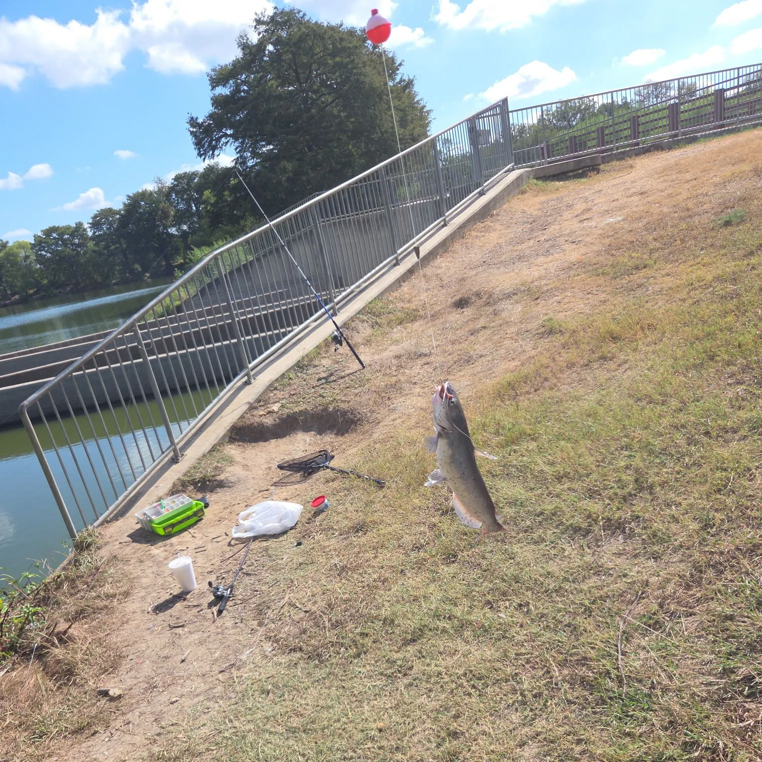catch