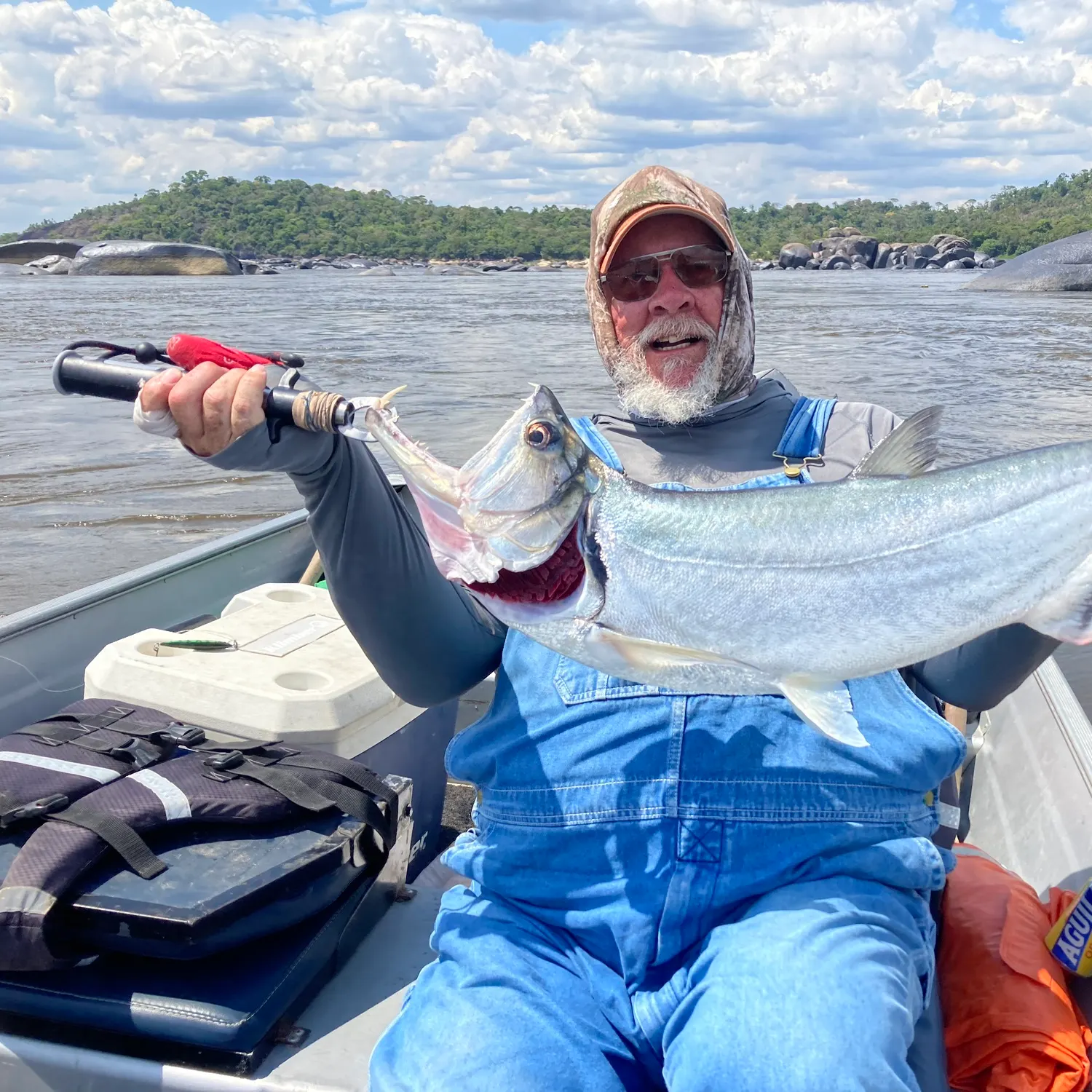 The most recent Vampire fish catches on Fishbrain