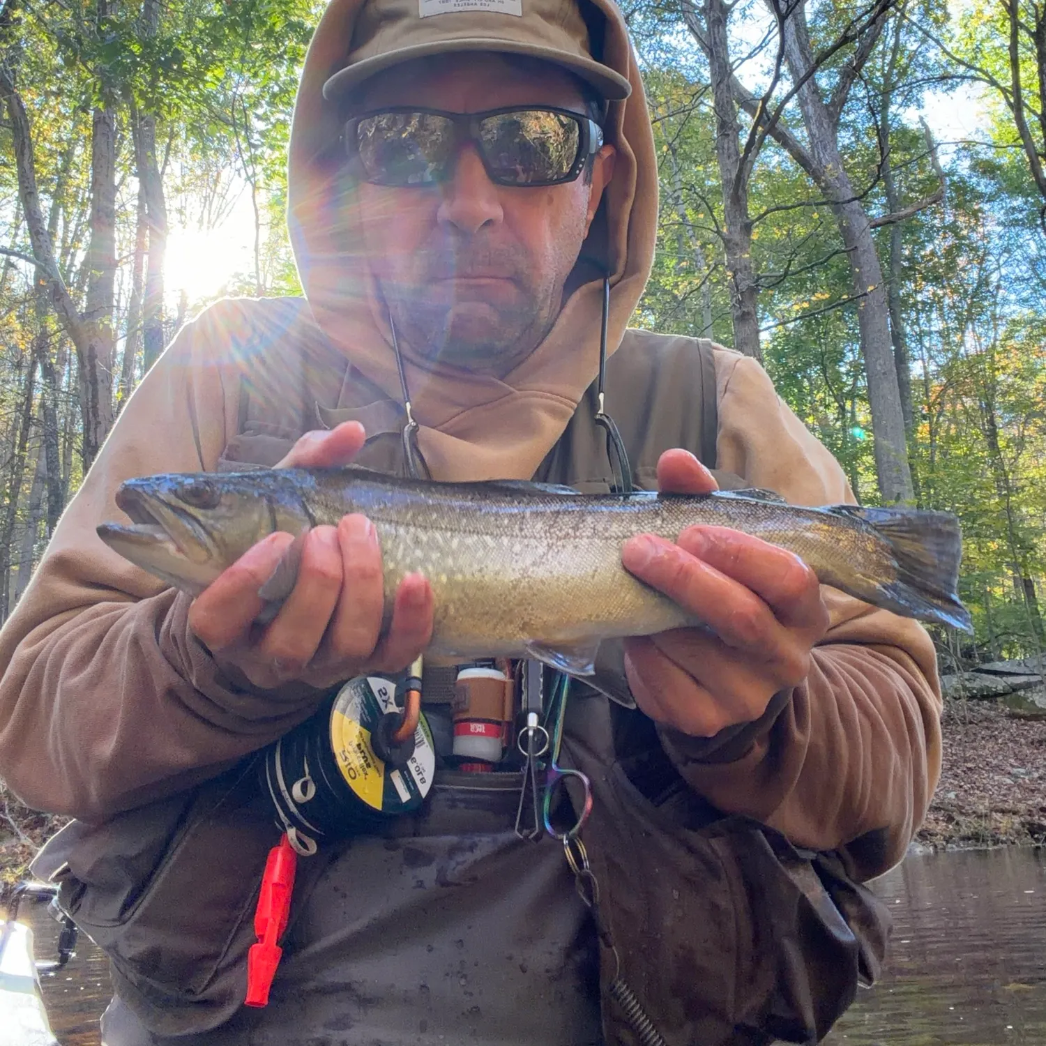 Marble trout caught on Fishbrain
