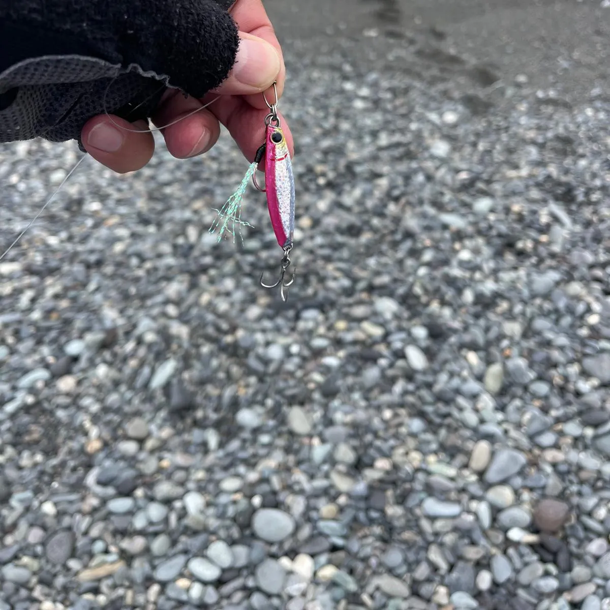 The most recent Frigate tuna catches on Fishbrain