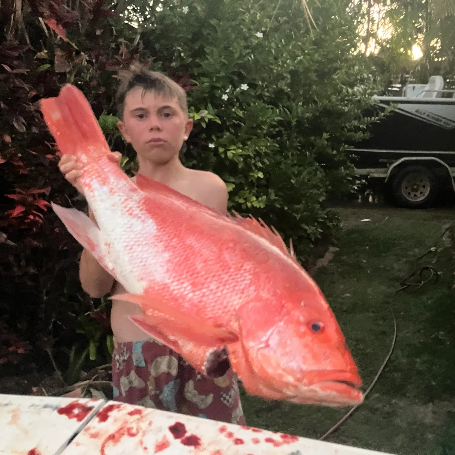 The most recent Malabar blood snapper catches on Fishbrain