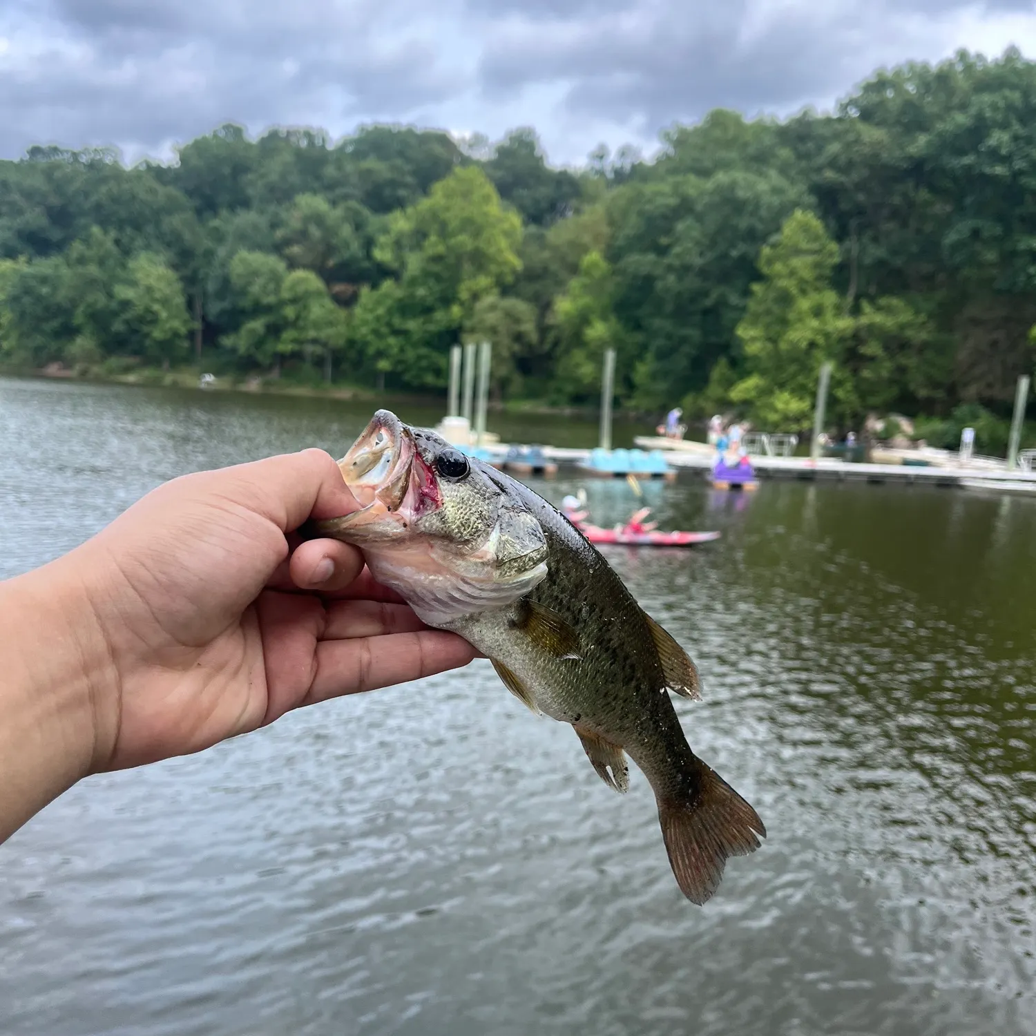 catch