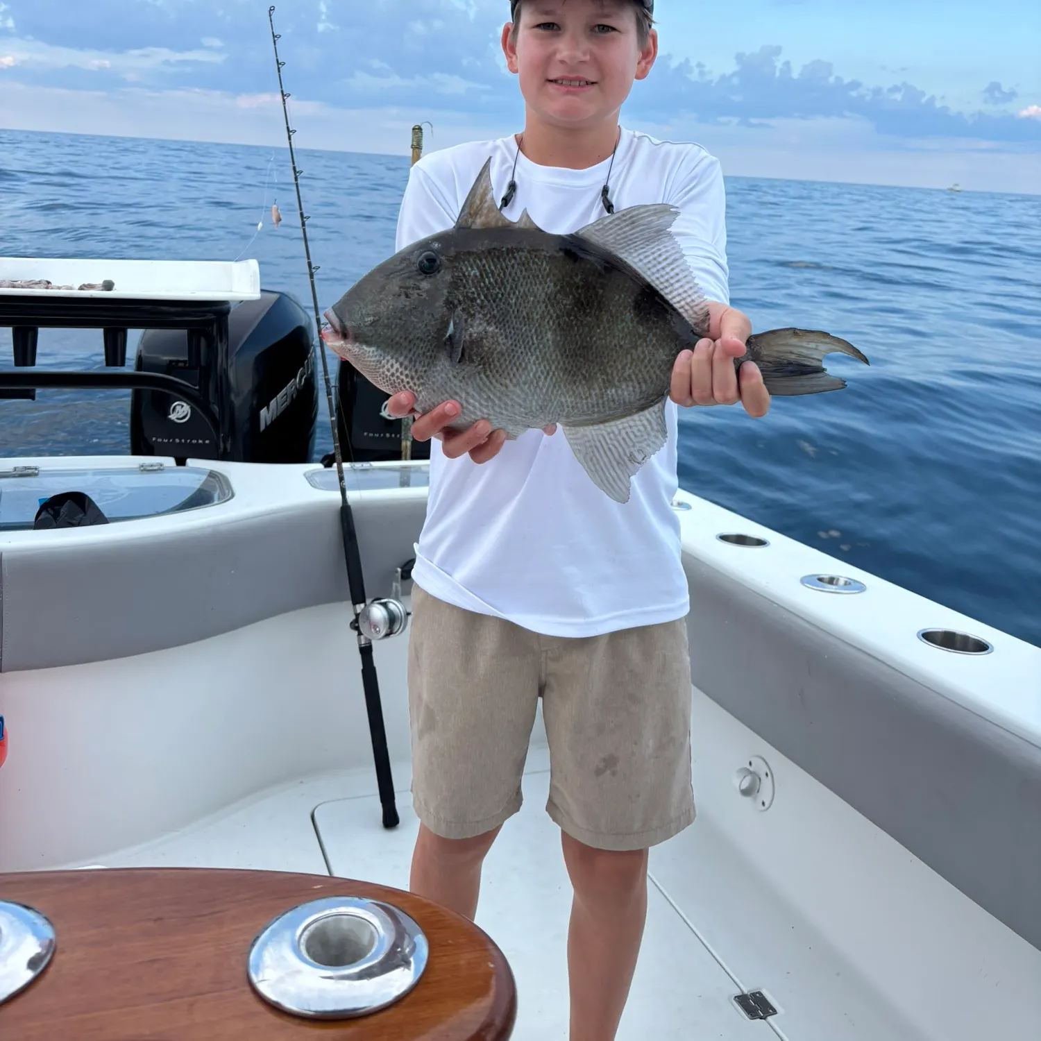 Grey triggerfish caught on Fishbrain