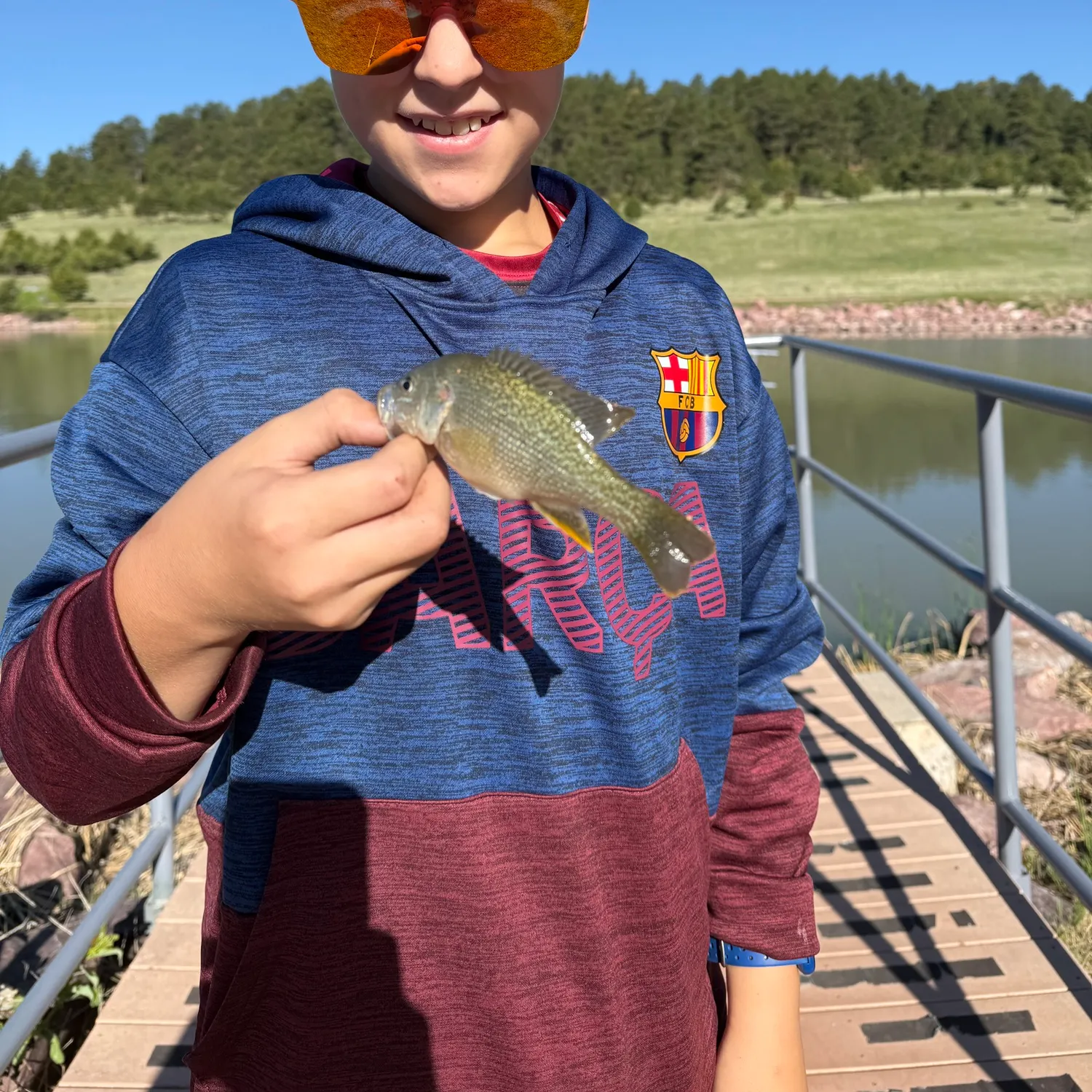 The most recent Wargill hybrid catches on Fishbrain