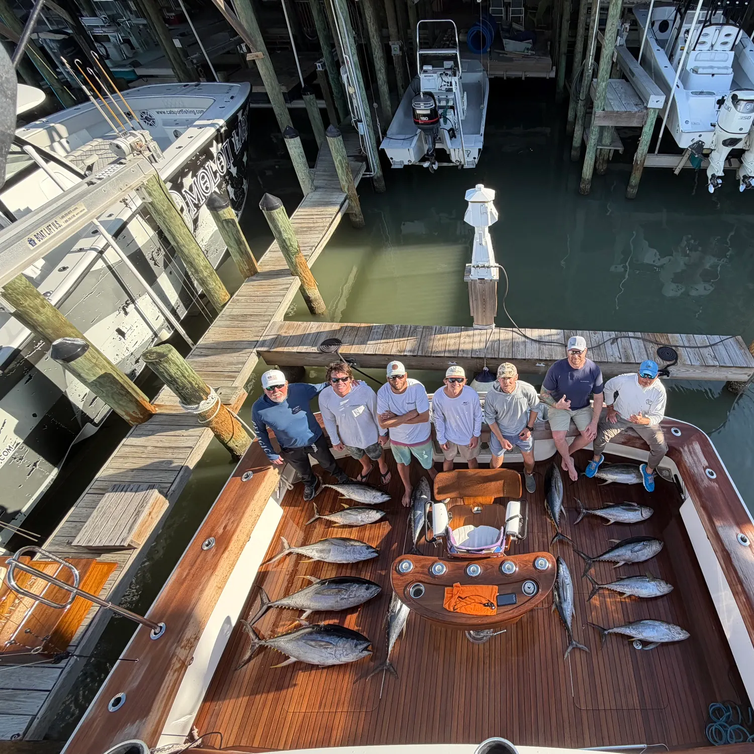 The most recent Atlantic bluefin tuna catches on Fishbrain