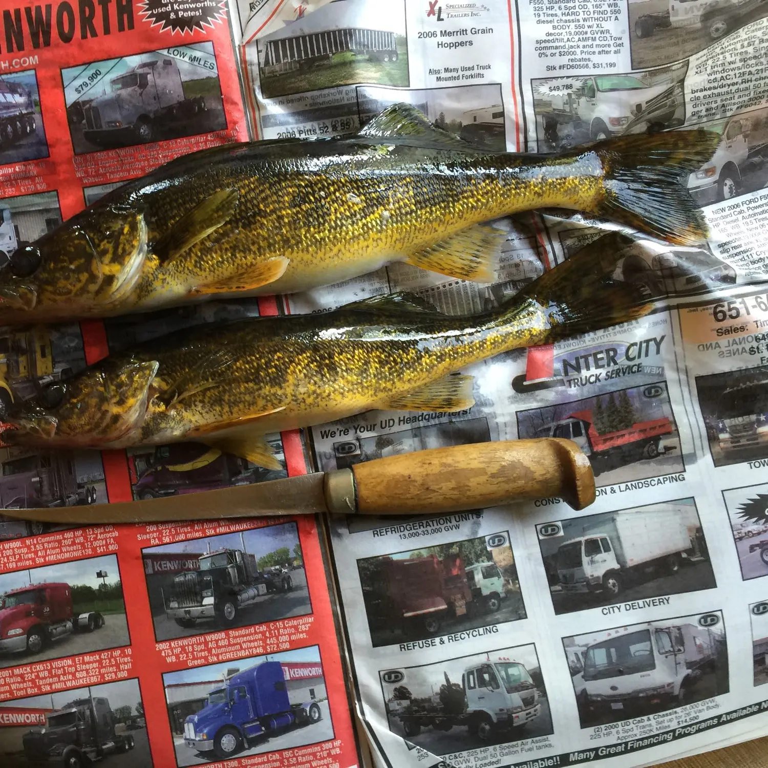 recently logged catches