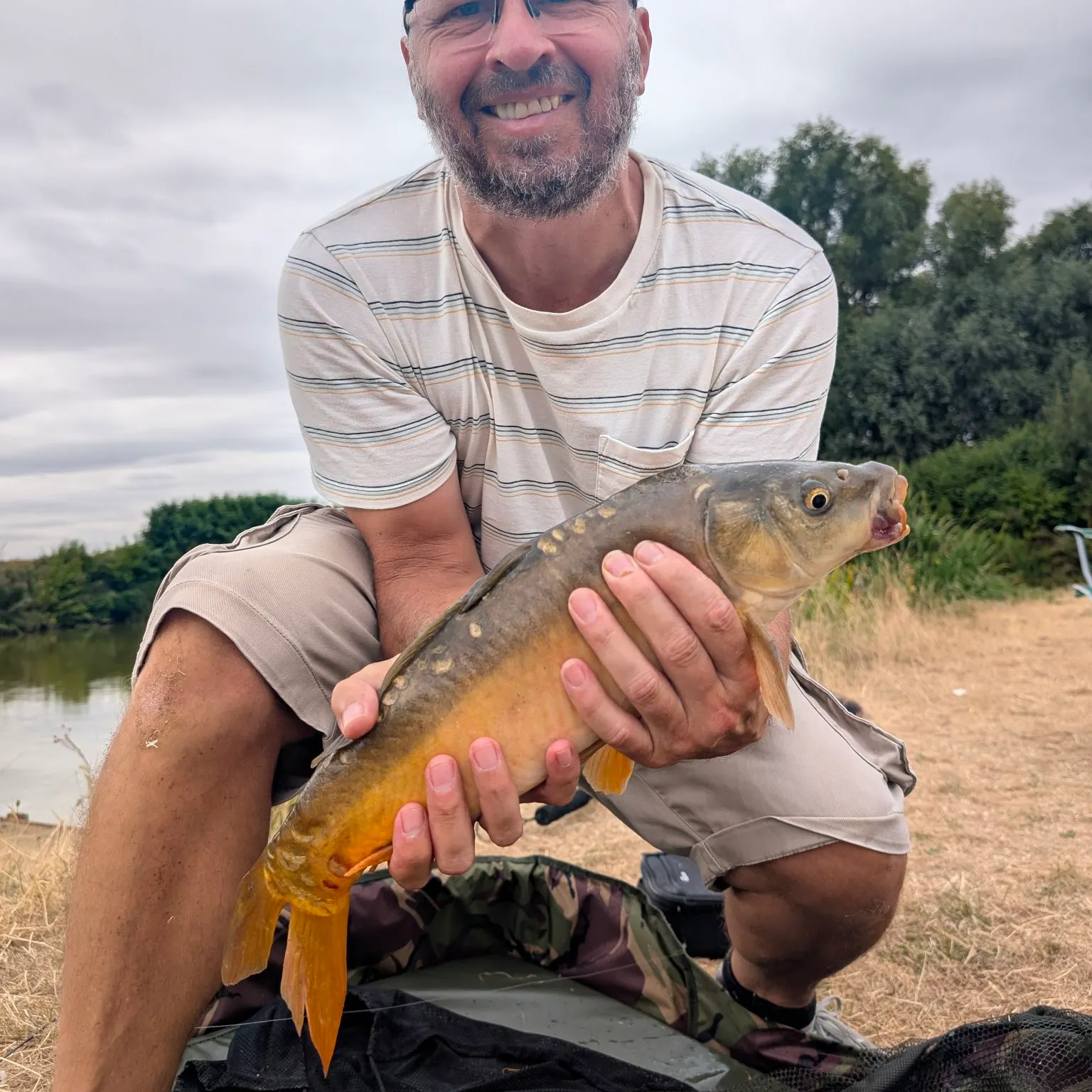 Common carp caught on Fishbrain