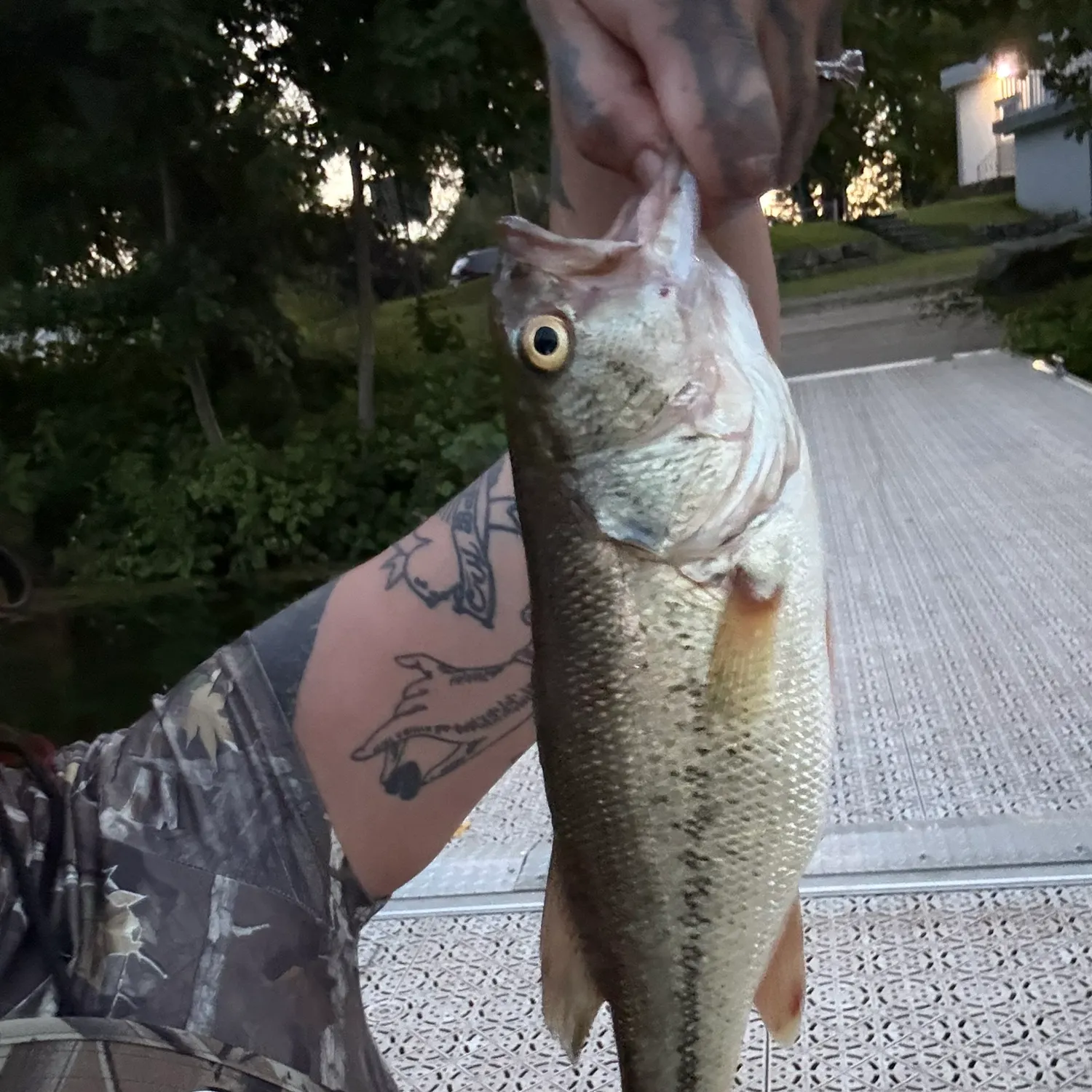 catch