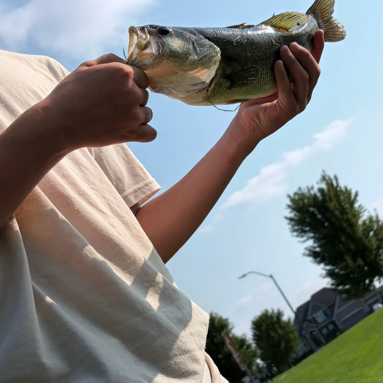 catch