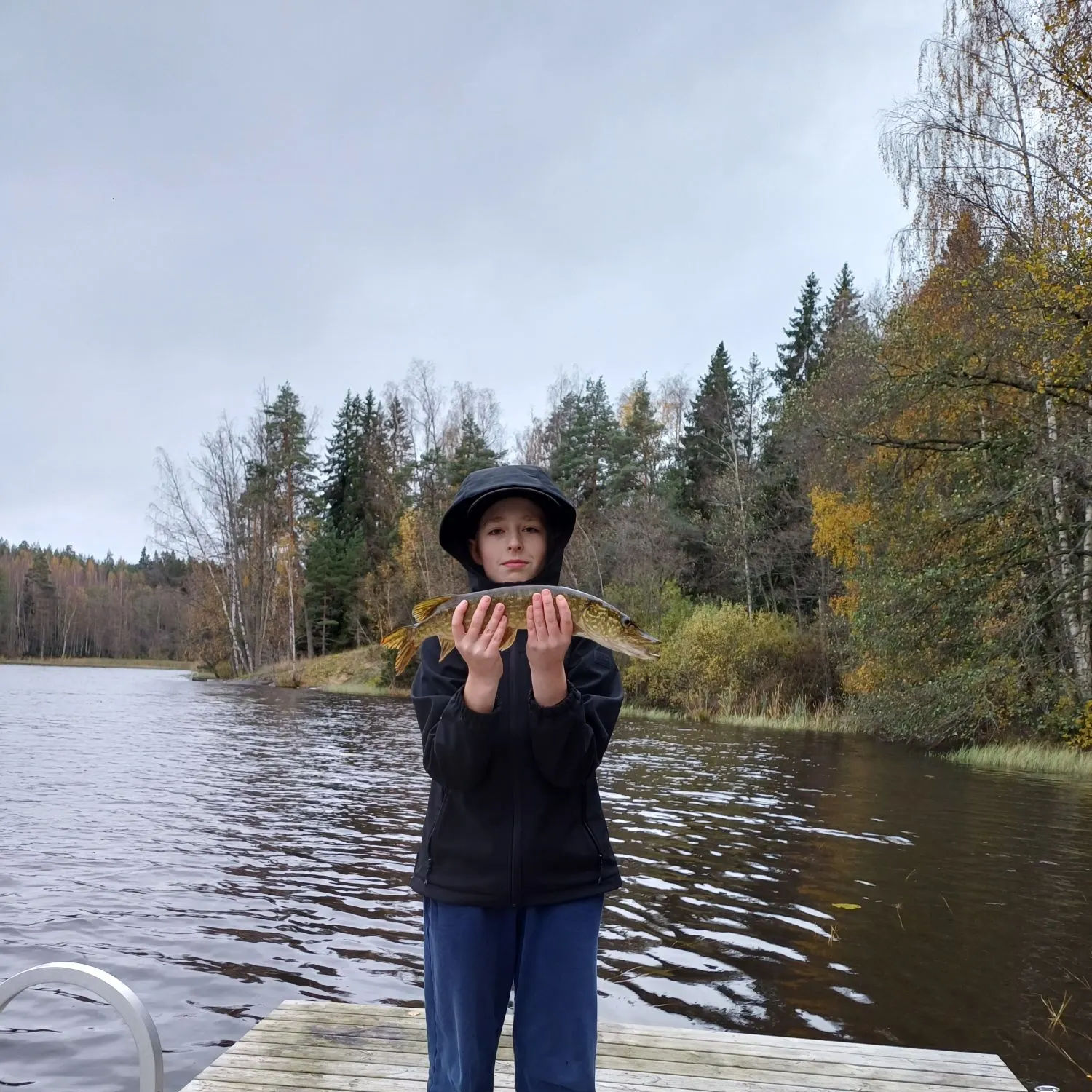 Northern pike caught on Fishbrain