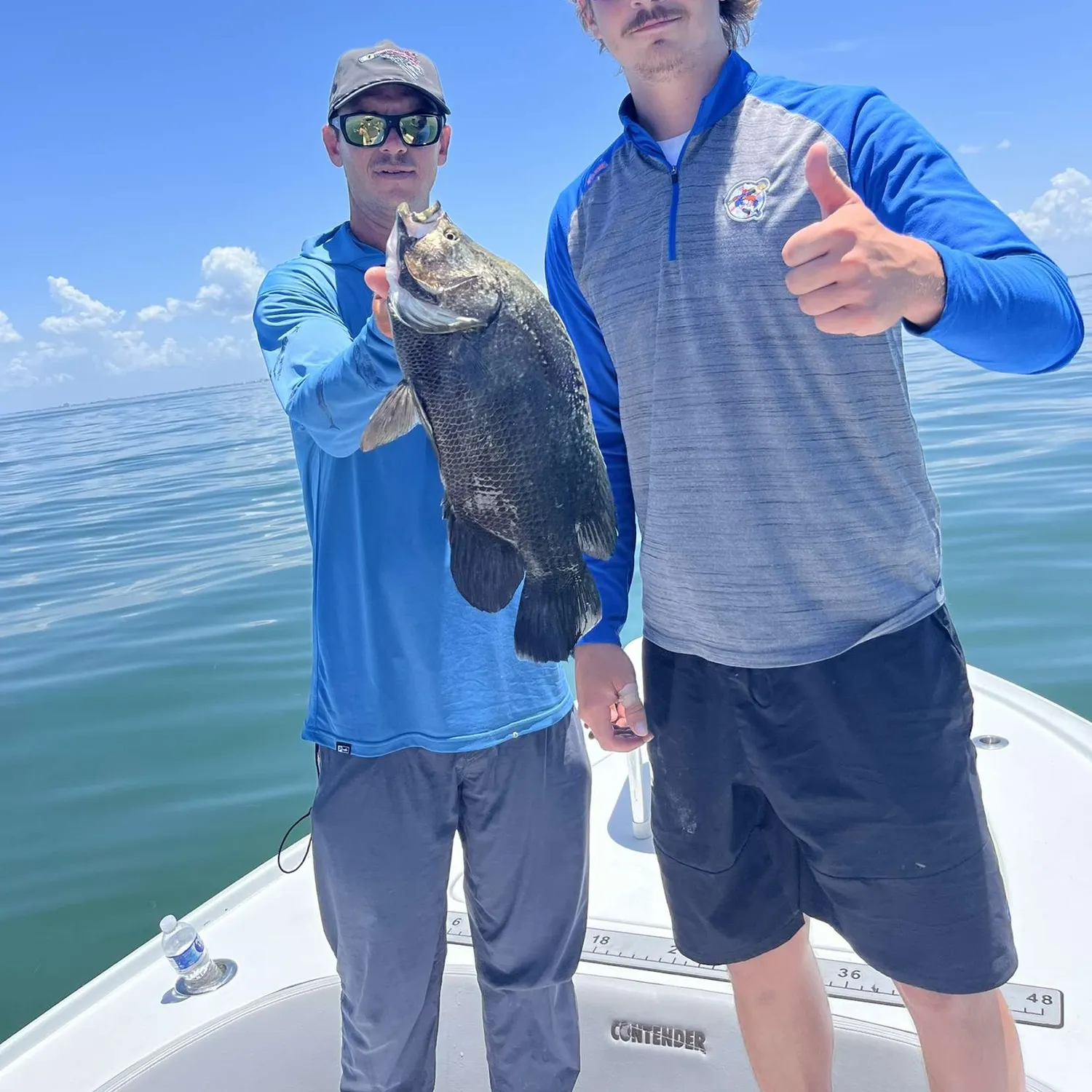 The most recent Atlantic tripletail catches on Fishbrain