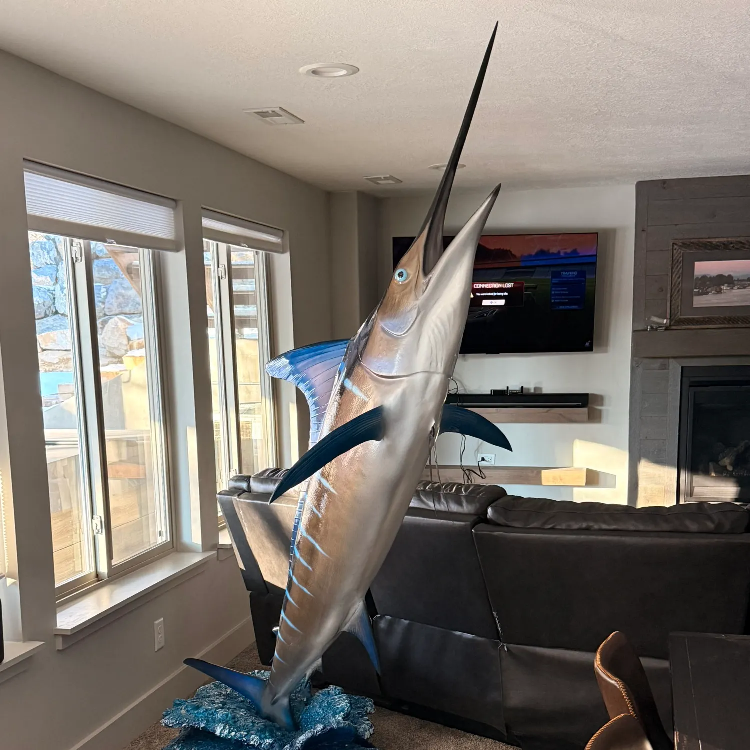 The most recent Striped marlin catches on Fishbrain