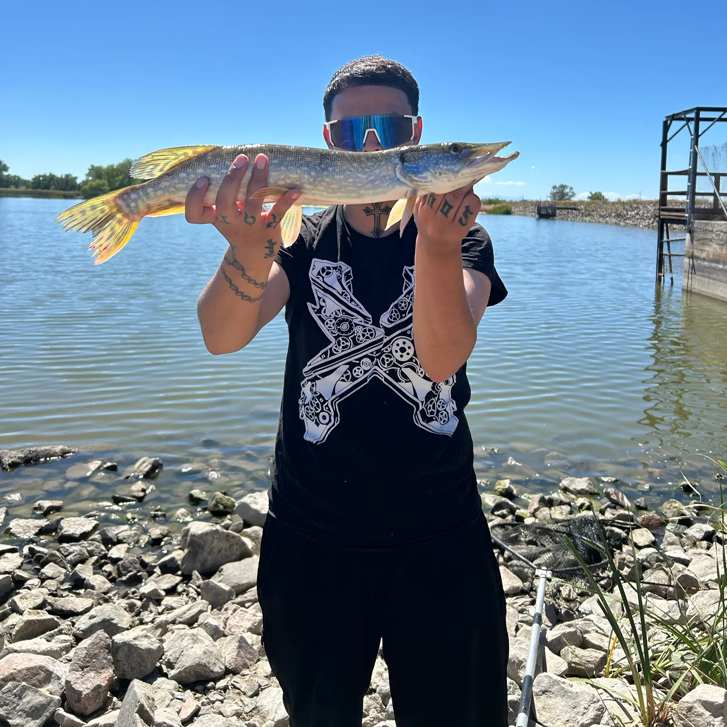 Northern pike caught on Fishbrain