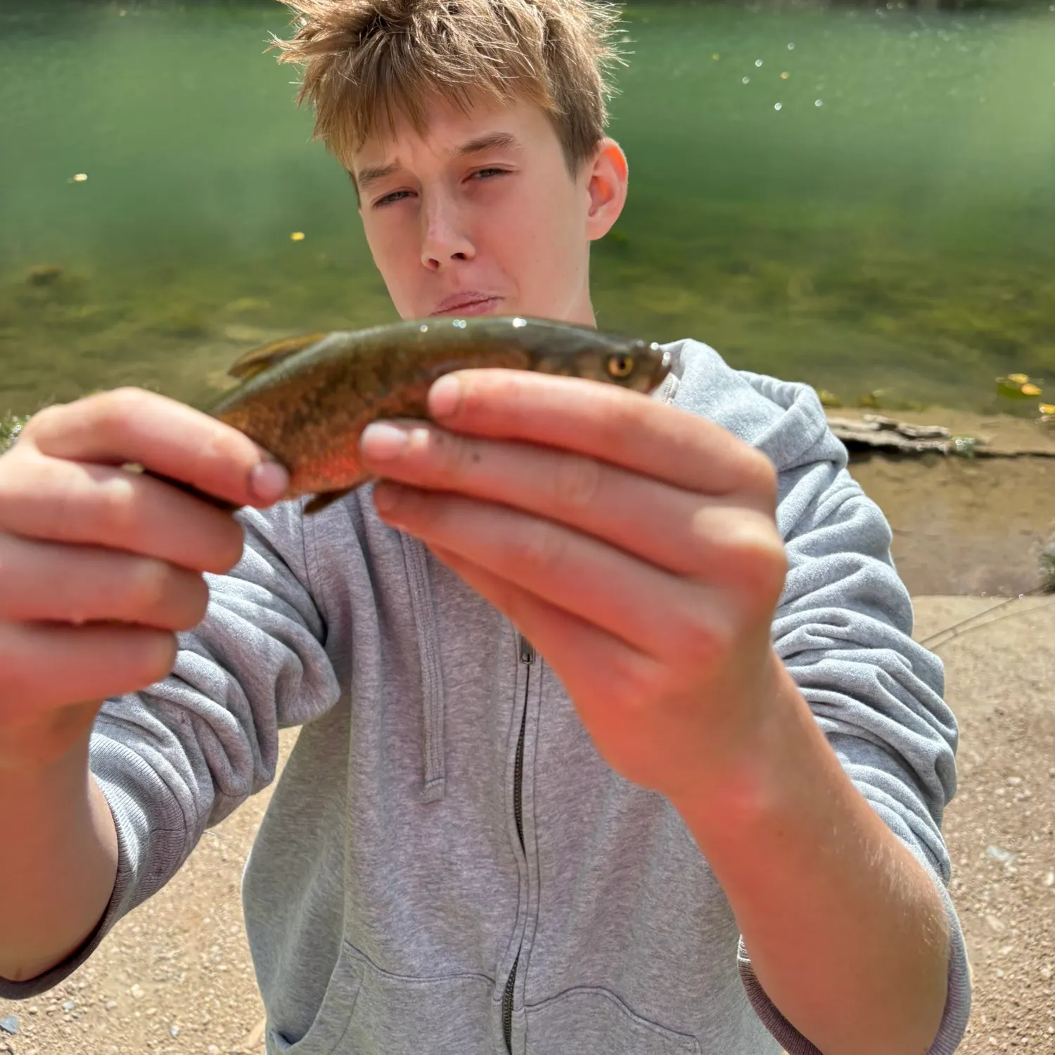 Utah chub caught on Fishbrain